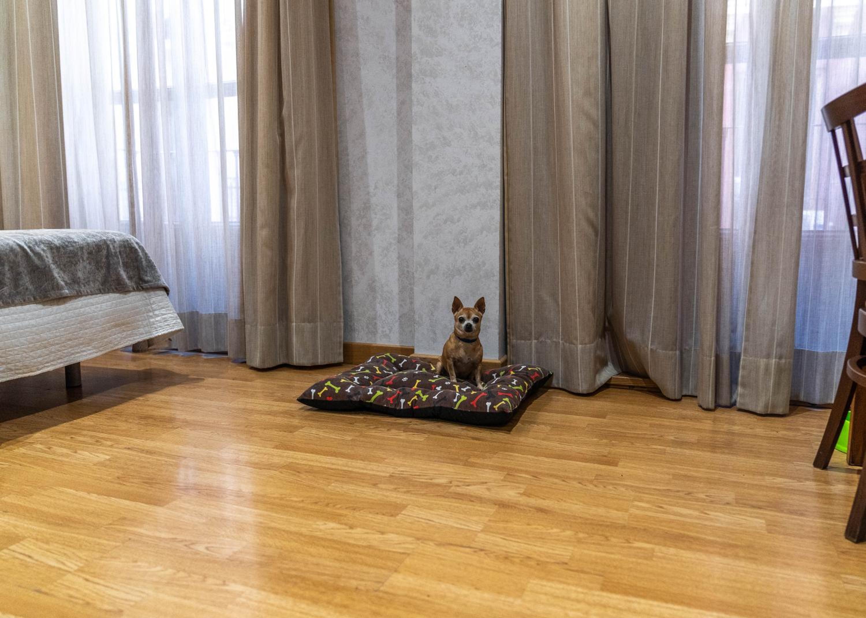 Special Offer - Twin Room photo 3