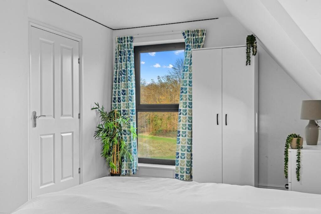 One-Bedroom House photo 3