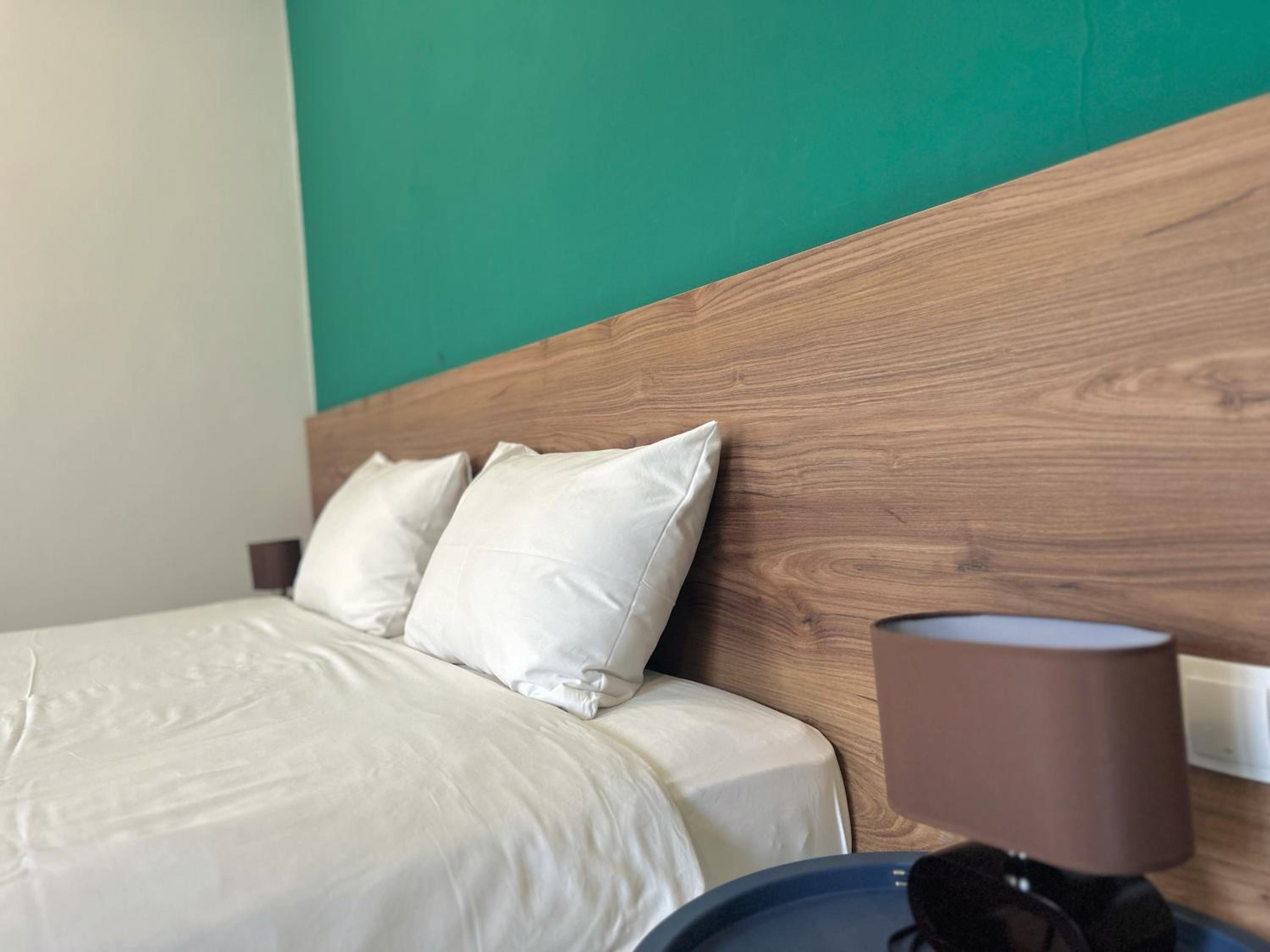 Double or Twin Room with Mountain View