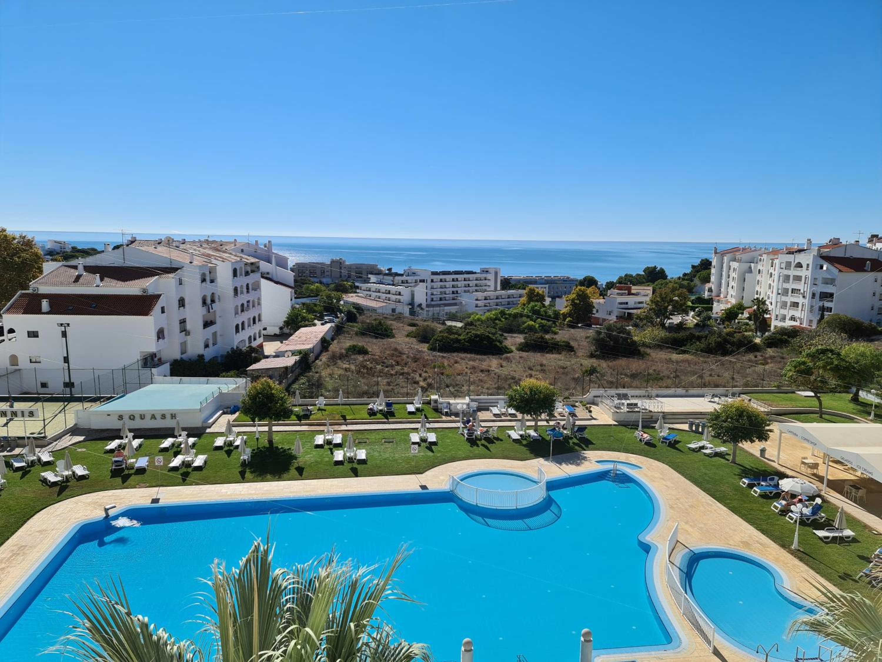One-Bedroom Apartment with Pool View photo 3