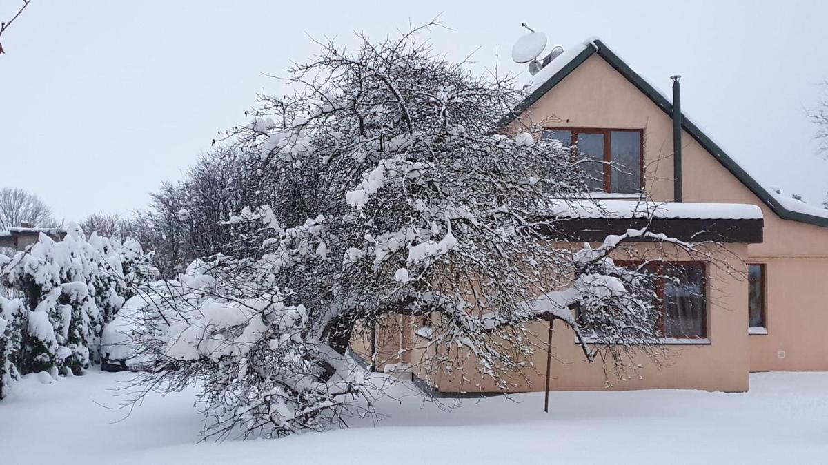 Three-Bedroom House photo 1