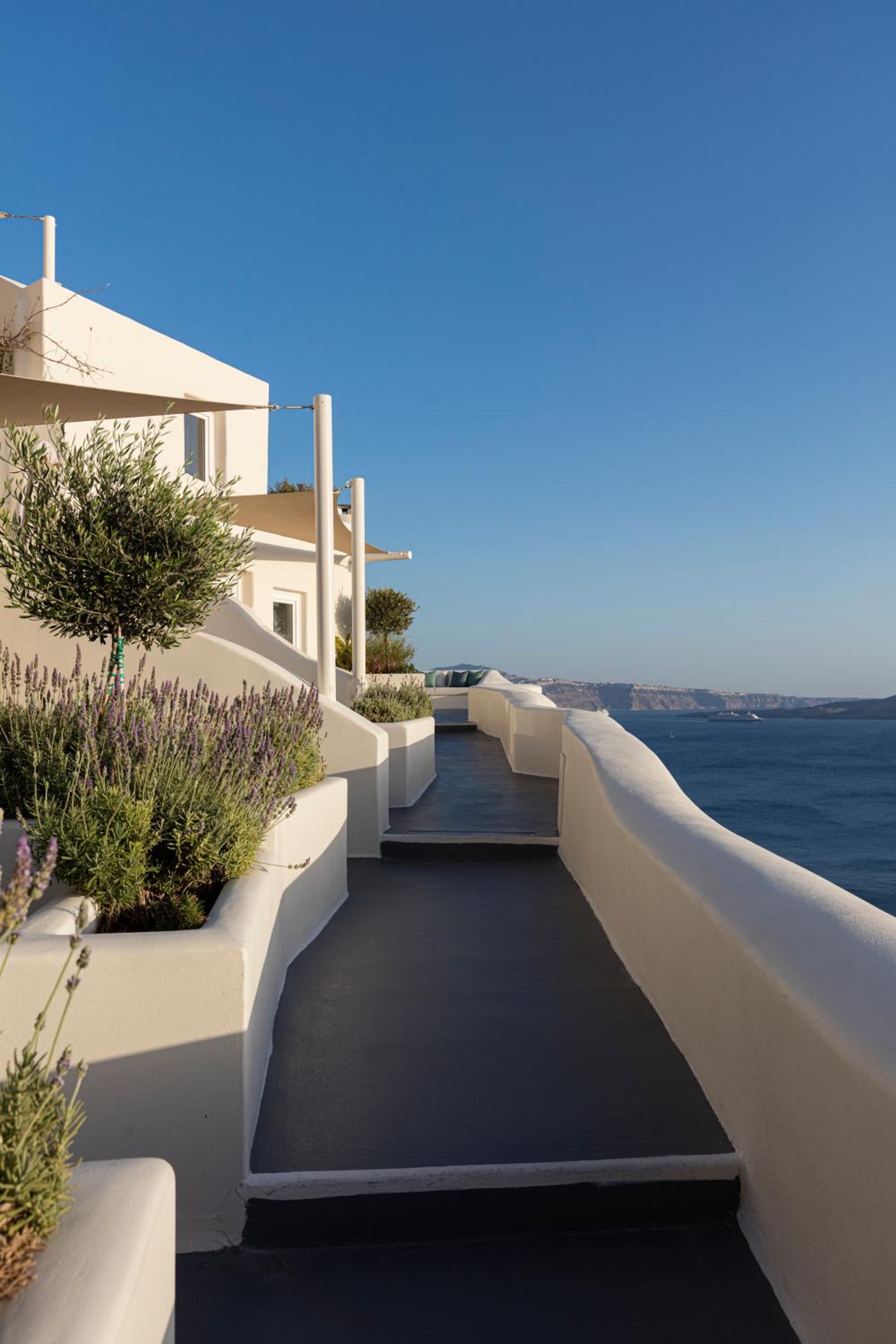 Superior Suite  with Plunge Pool - Photo 17