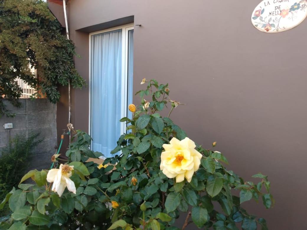 Two-Bedroom House photo 3