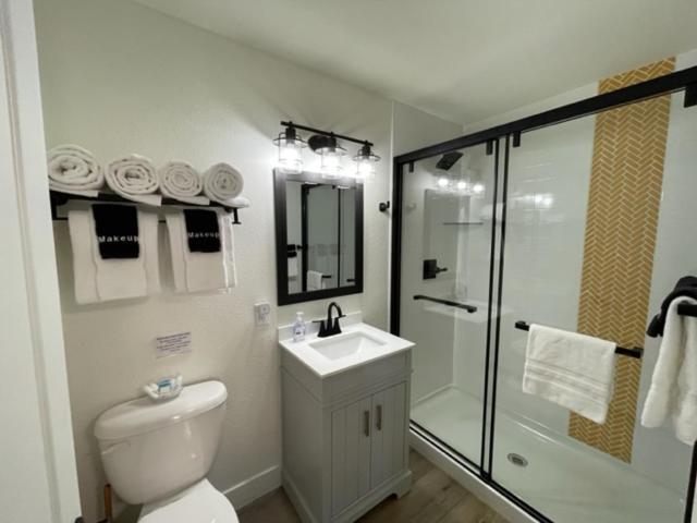 Lakefront Penthouse Studio photo 3