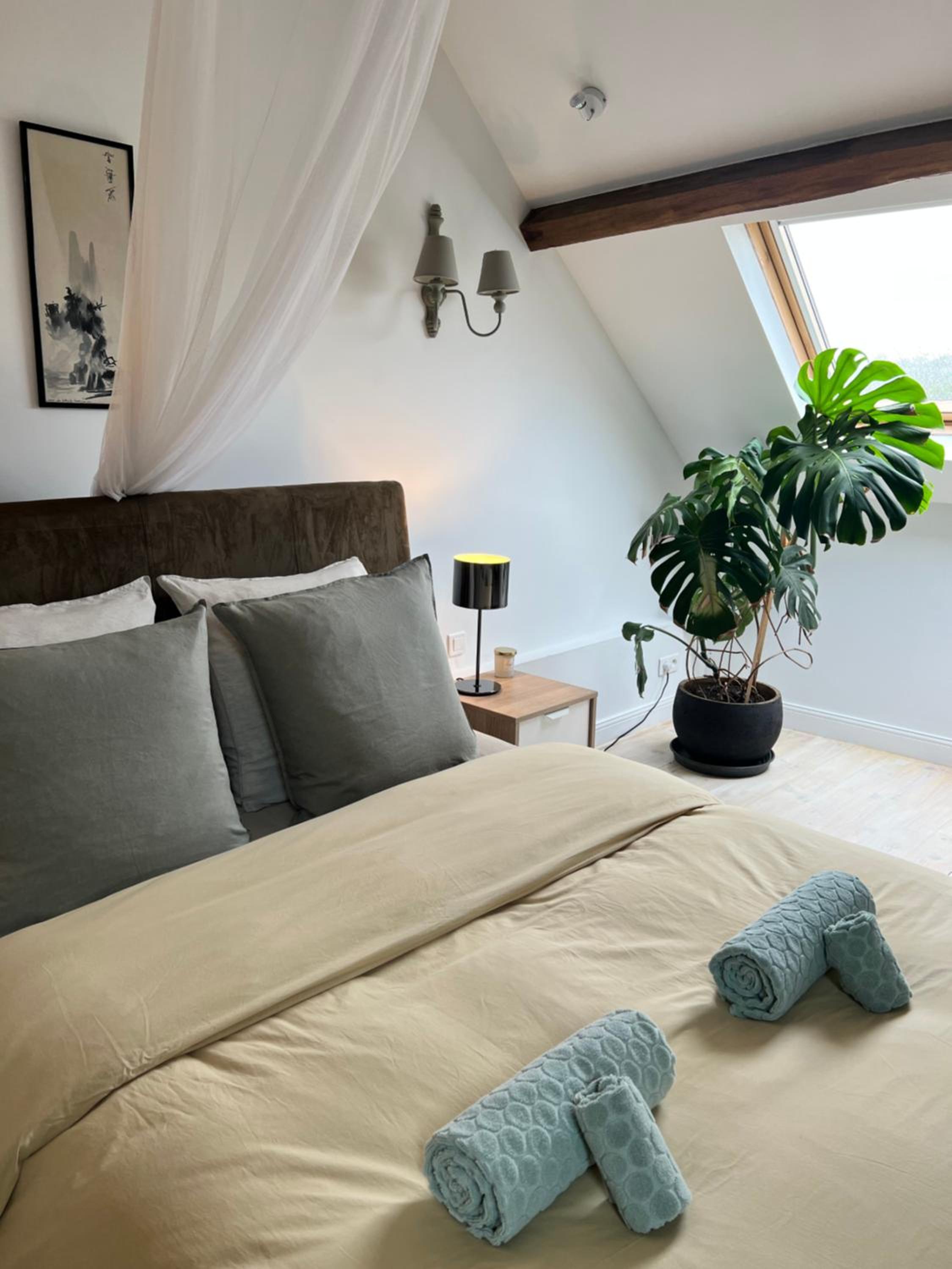 Double Room photo 3