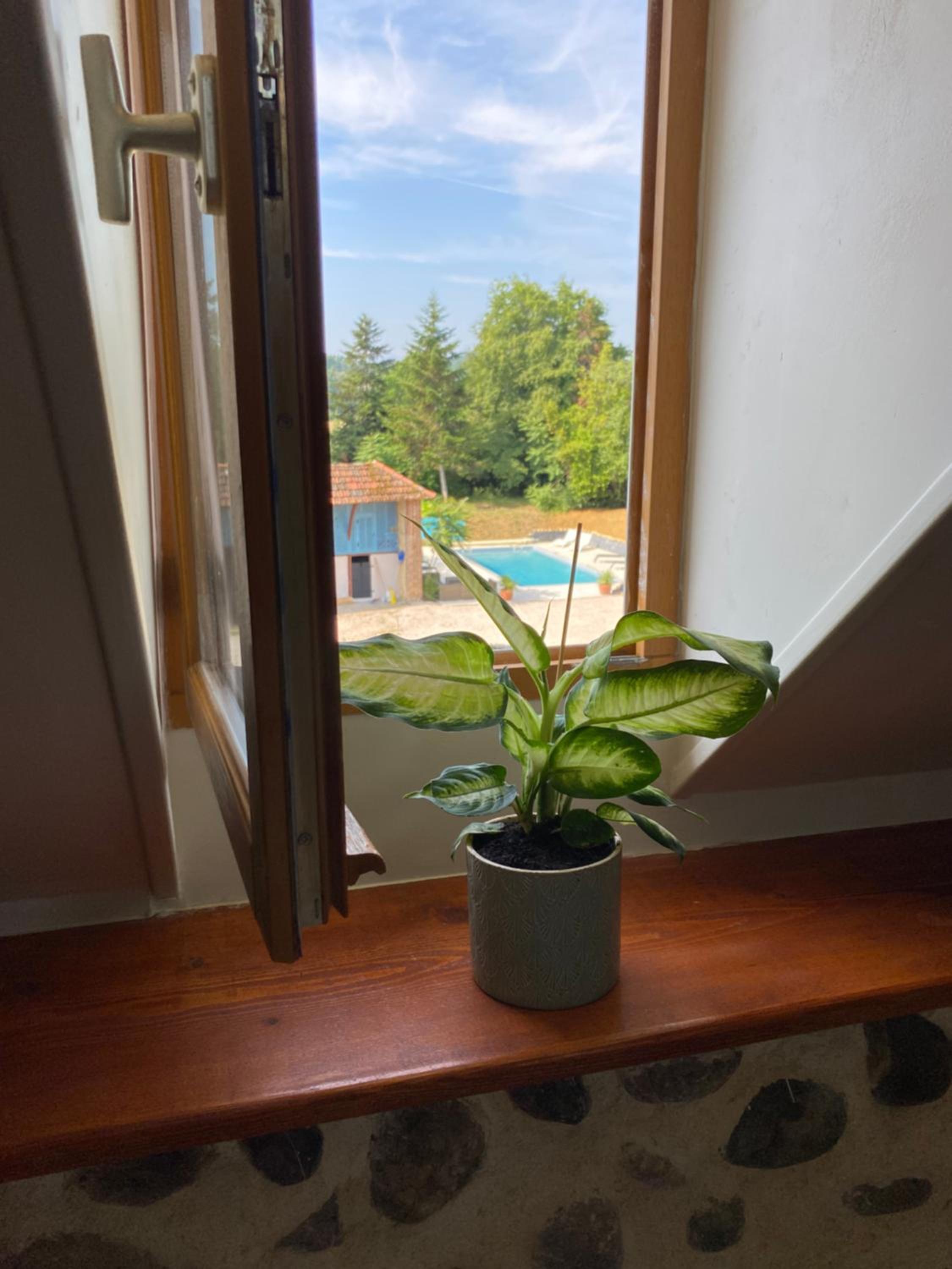 Double Room with Garden View photo 1