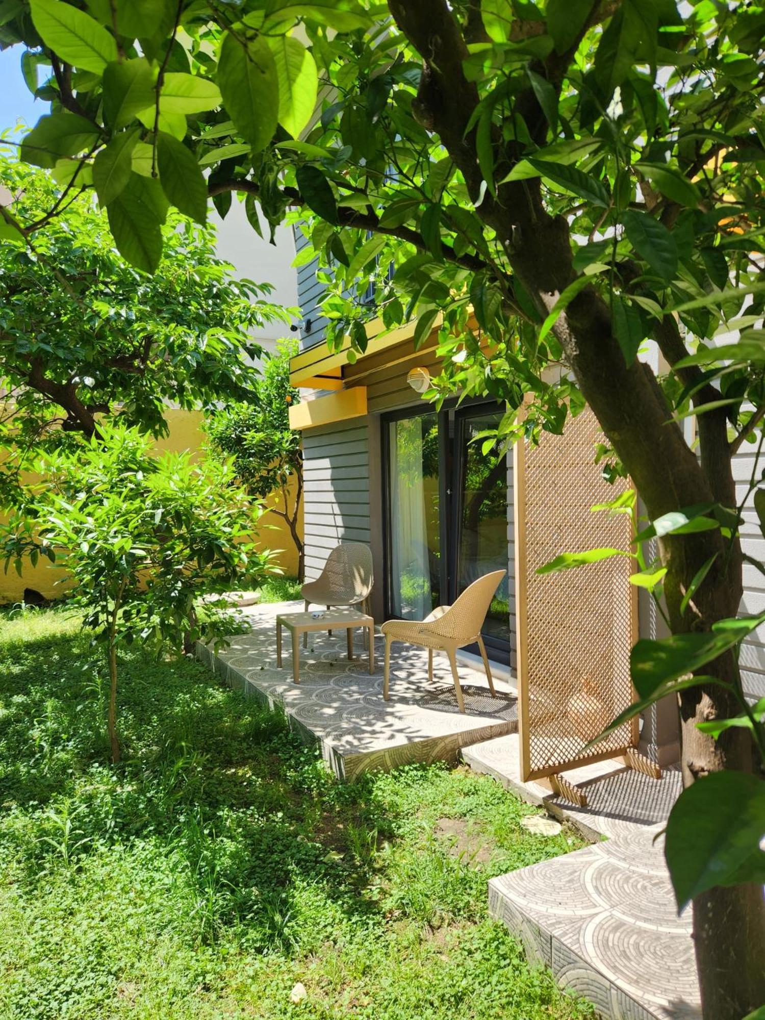 Double Room with Terrace thumbnail 5