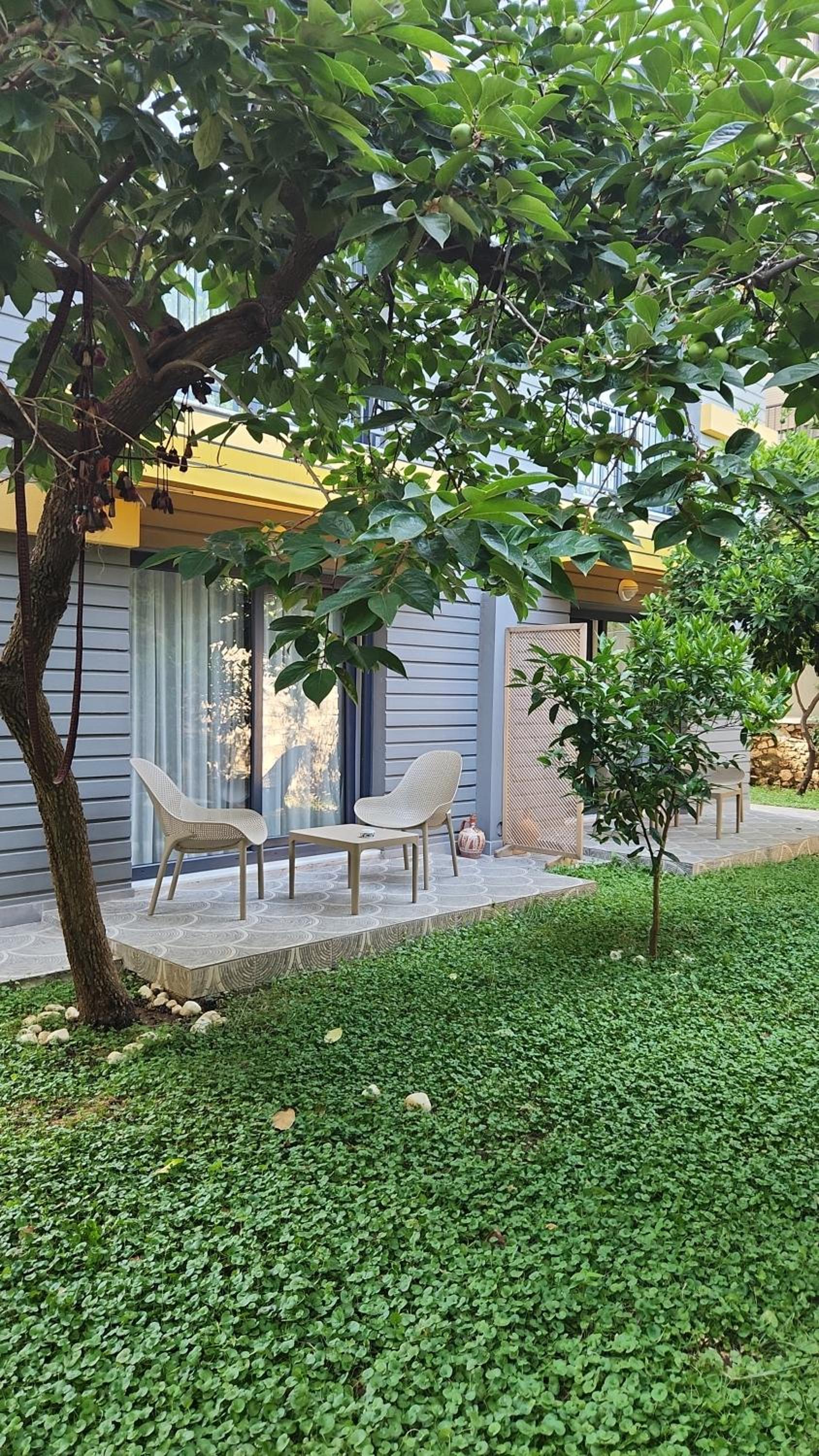 Double Room with Terrace