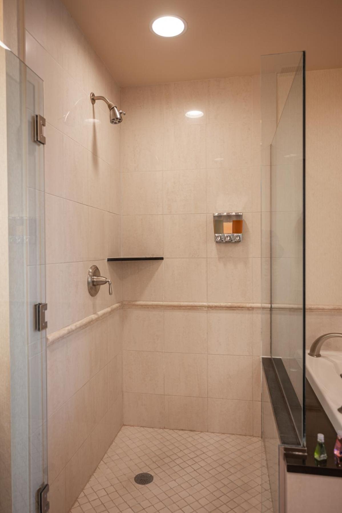 1BR Elite Penthouse Suite Mountain View with Balcony - Photo 23