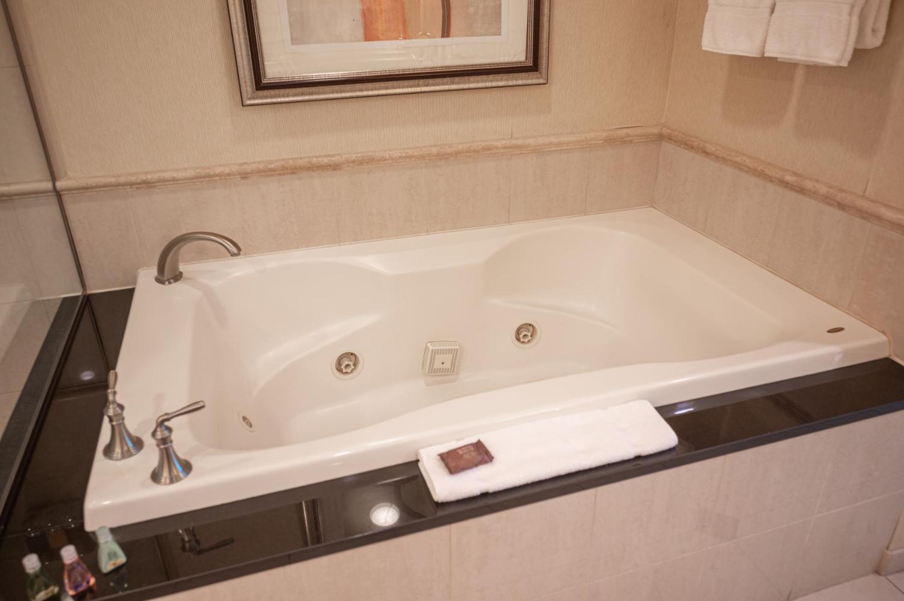 1BR Elite Penthouse Suite Mountain View with Balcony - Photo 26