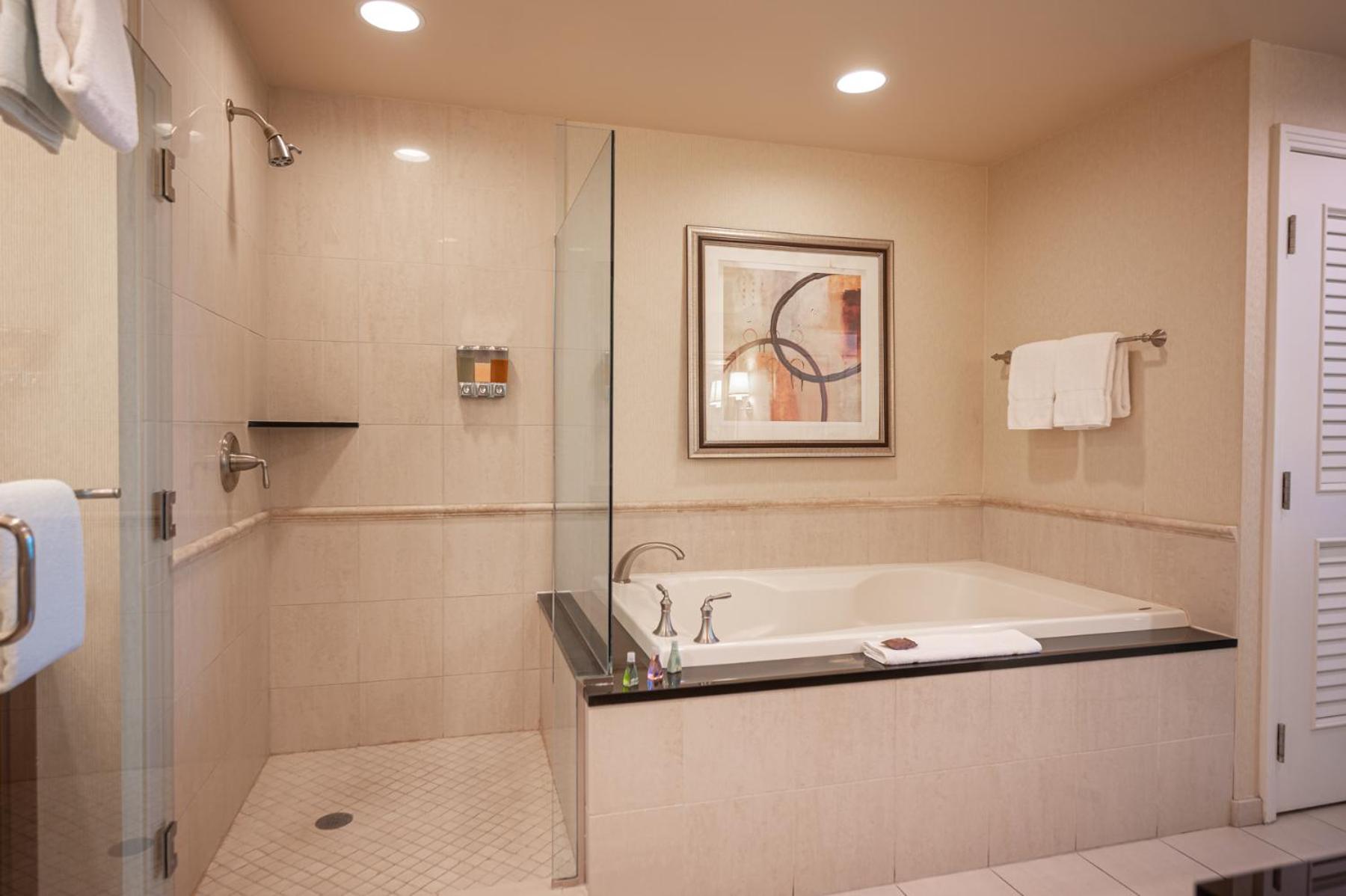 1BR Elite Penthouse Suite Mountain View with Balcony - Photo 36