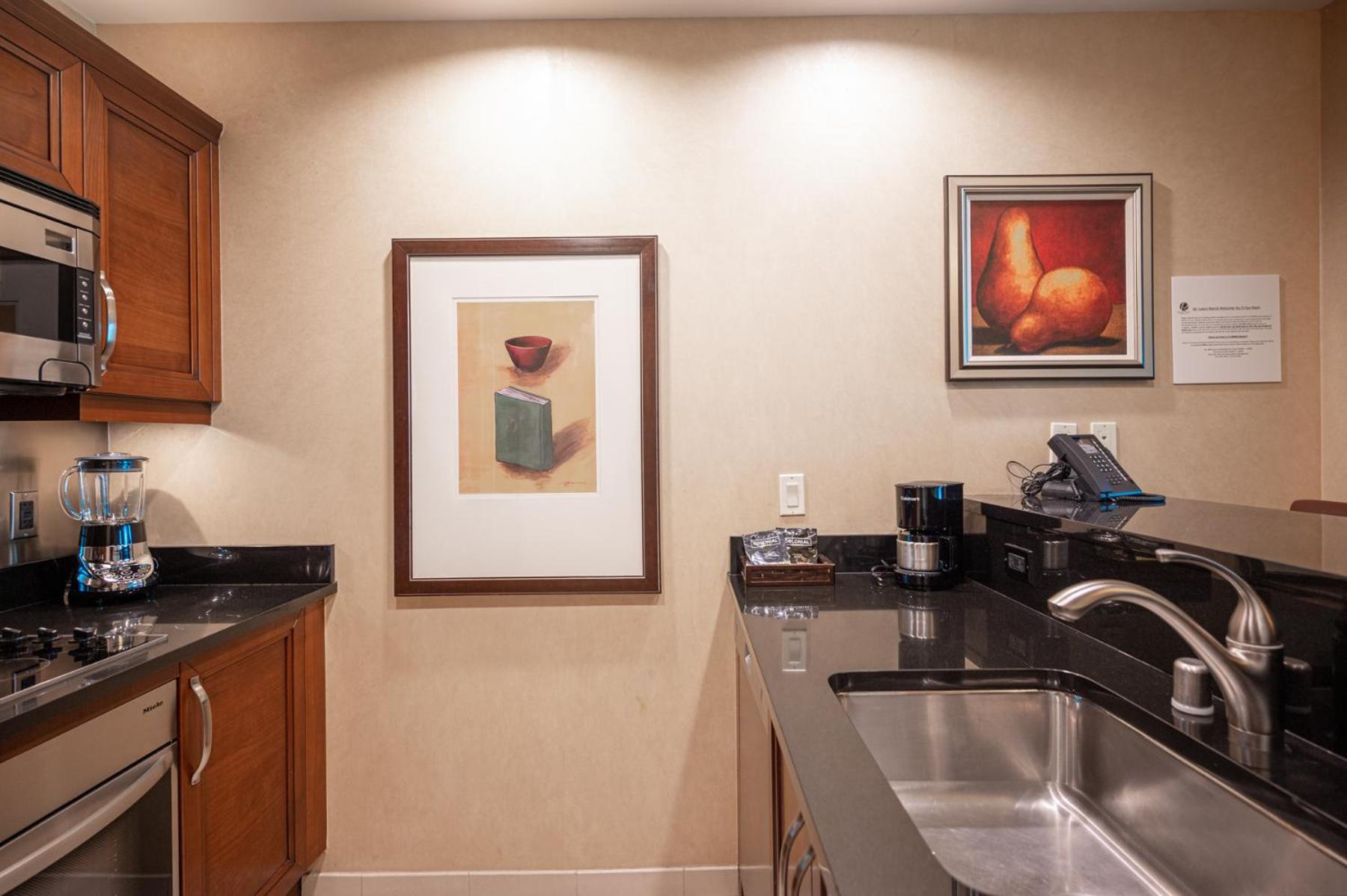 1BR Elite Penthouse Suite Mountain View with Balcony - Photo 53