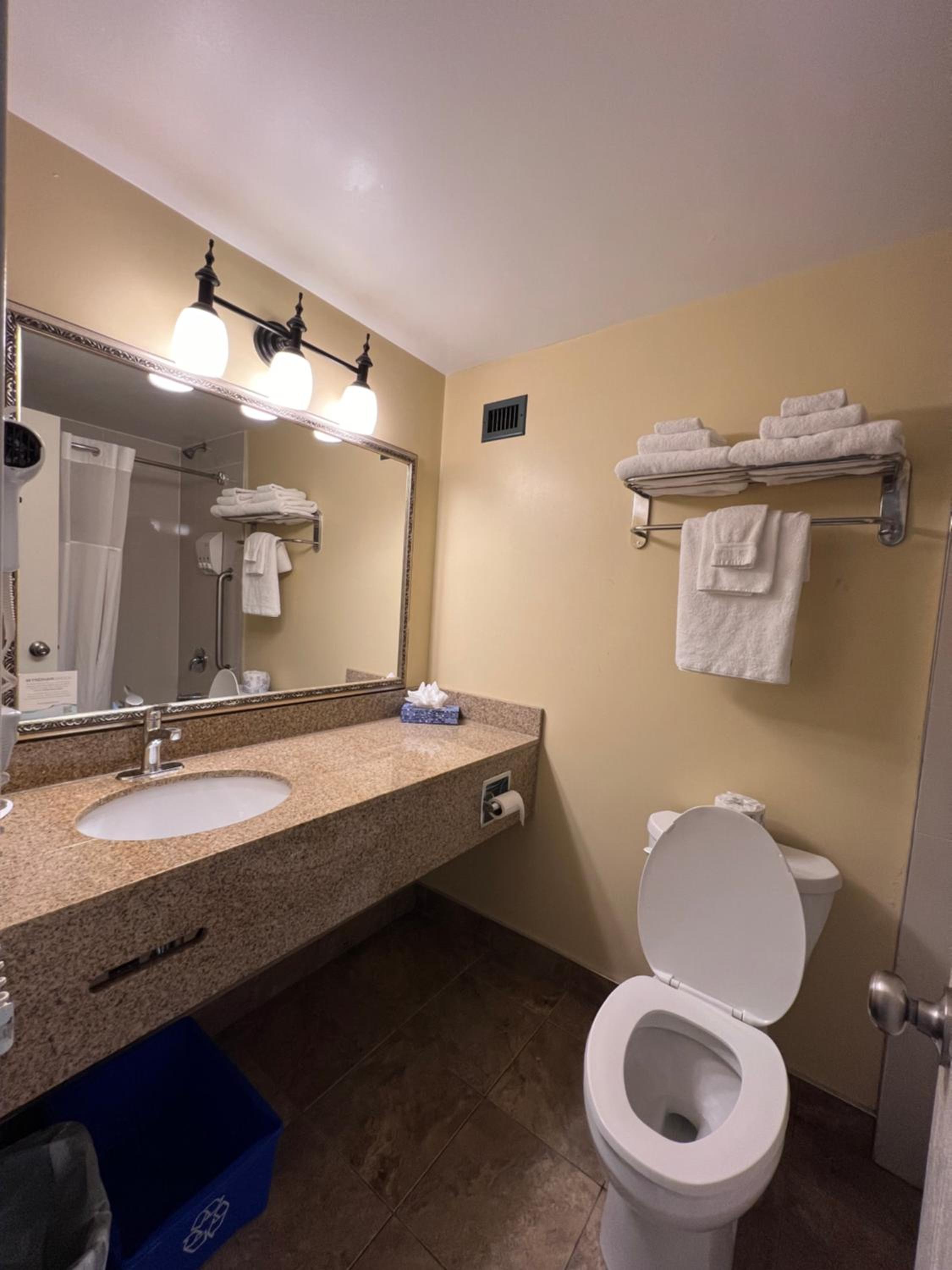 bathroom with a toilet, sink, mirror and towel rack
