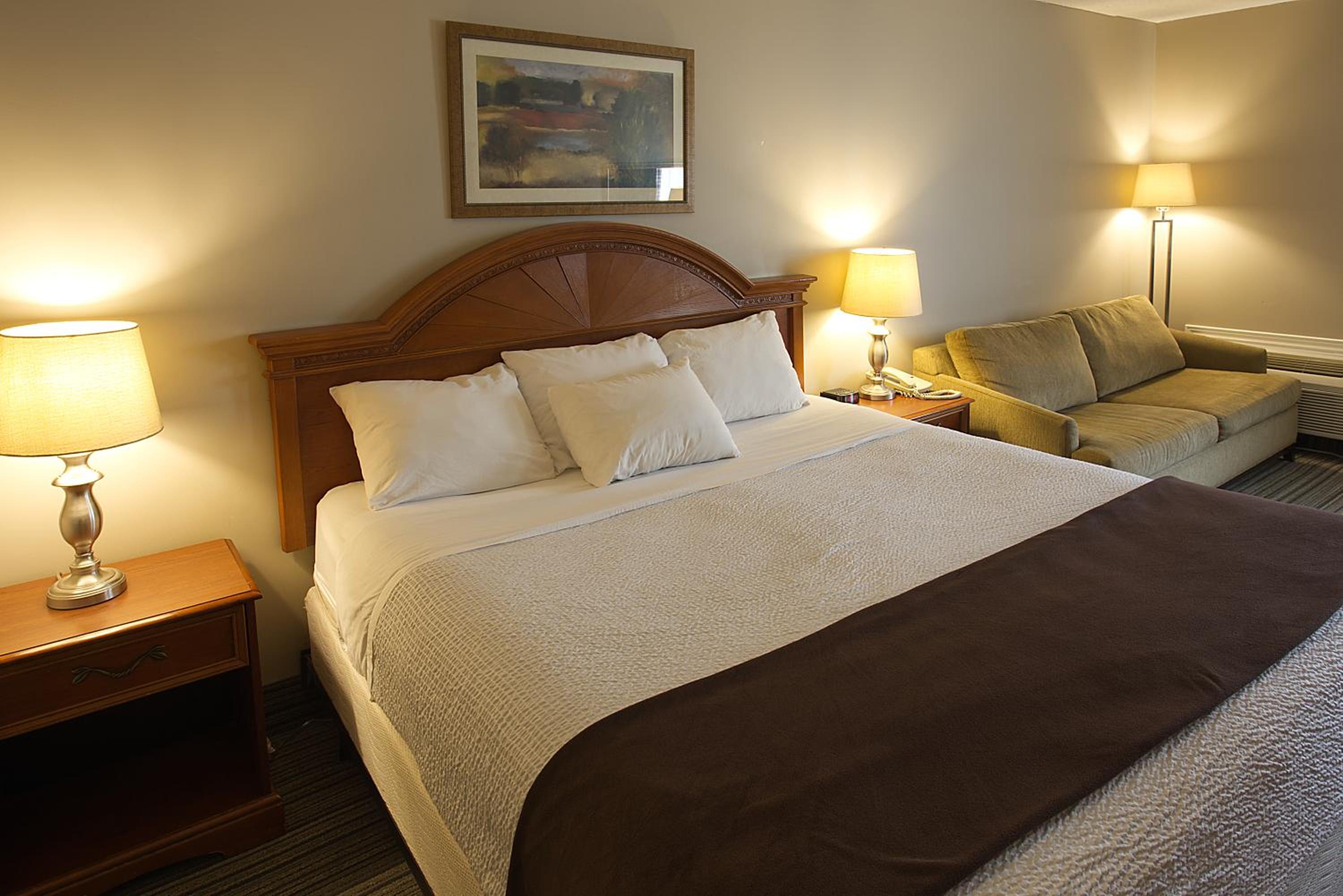 hotel room with a king size bed and a couch