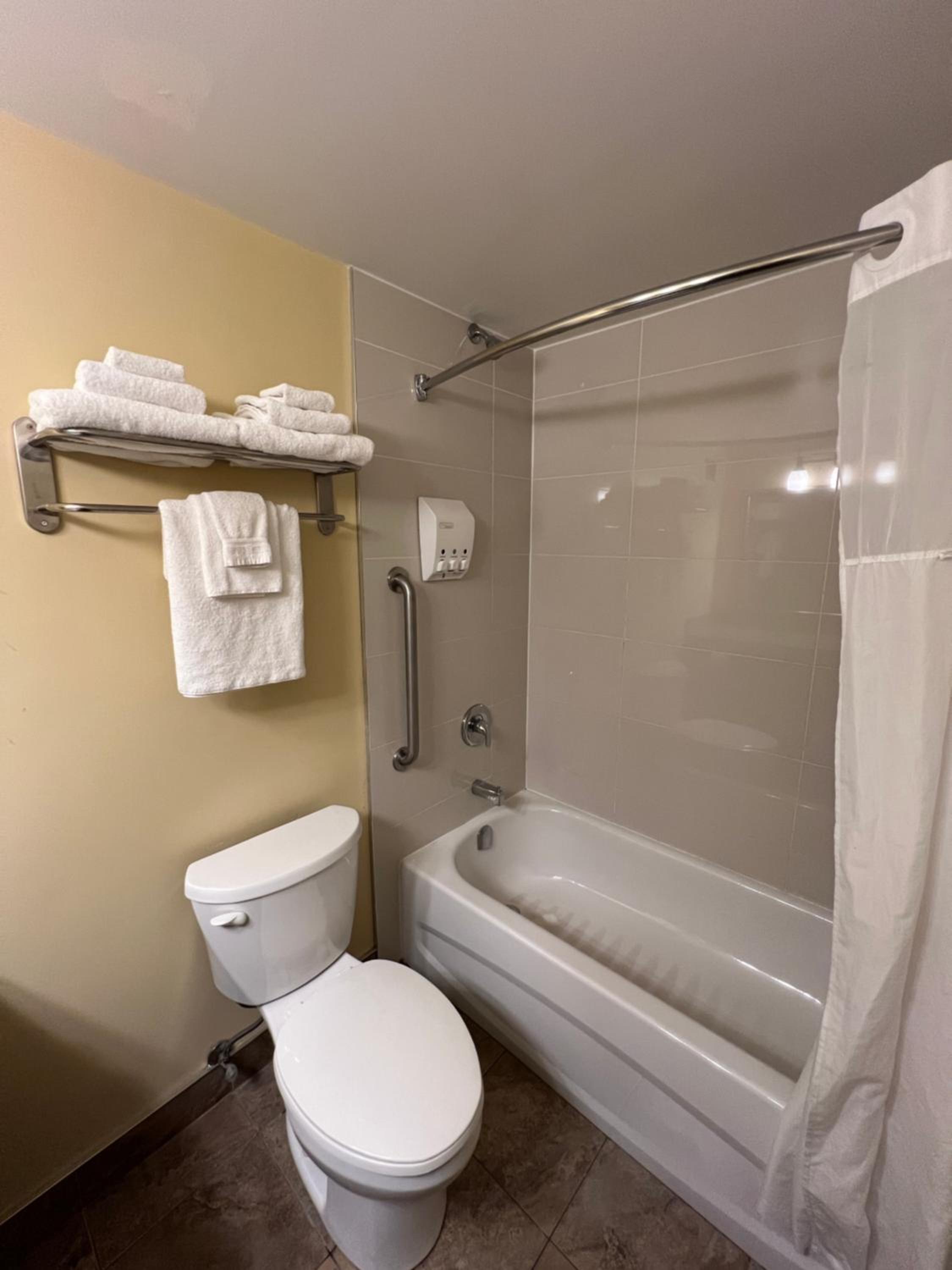 bathroom with a toilet, tub, and shower curtain