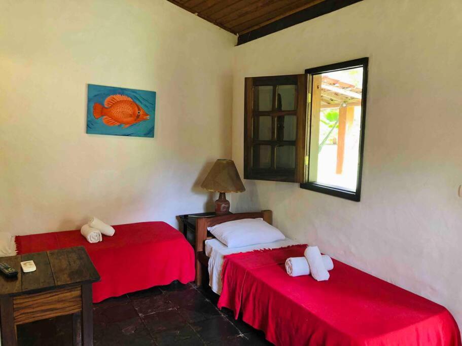 Double Room with Park View photo 1