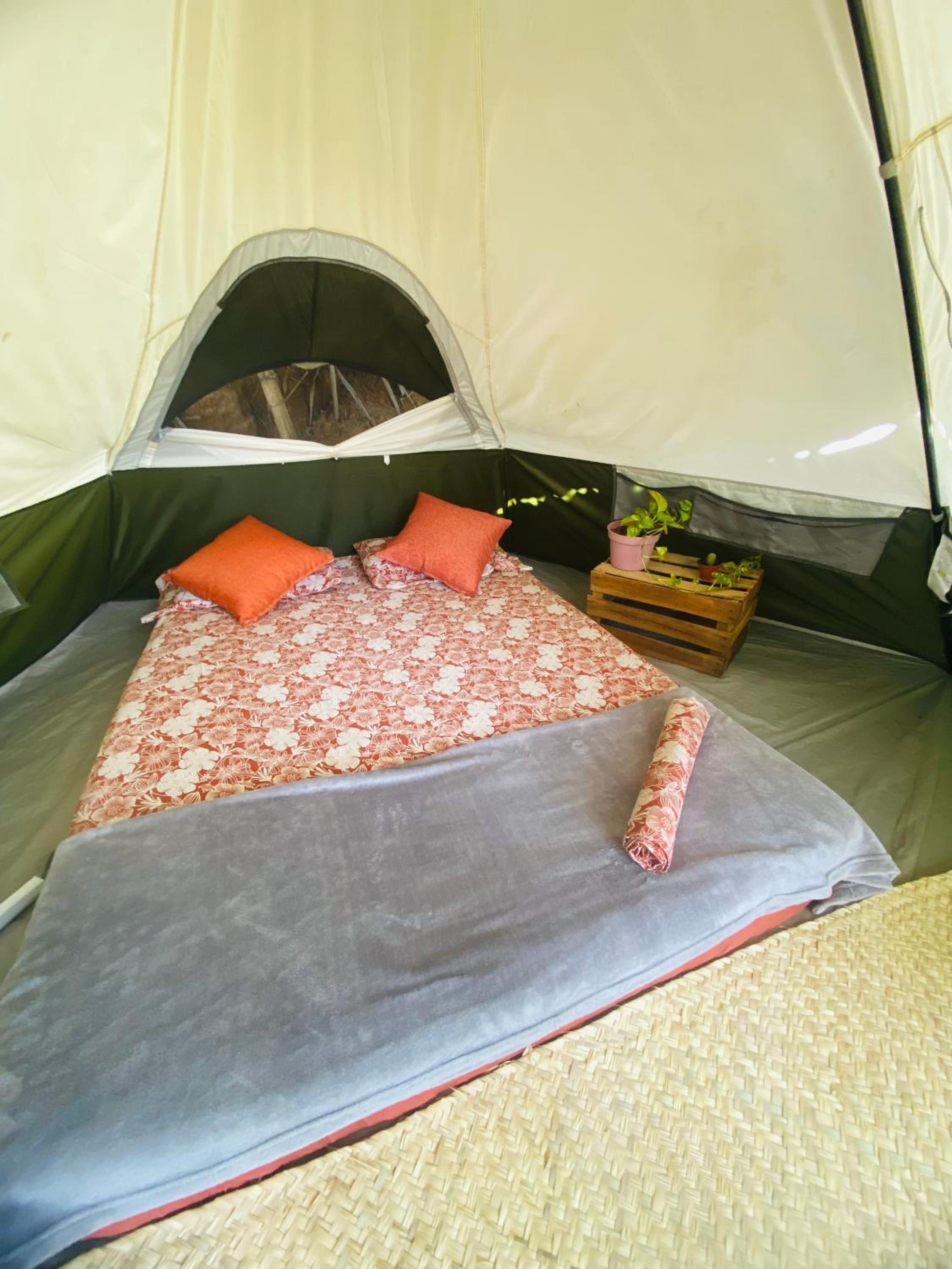 Tent photo 3