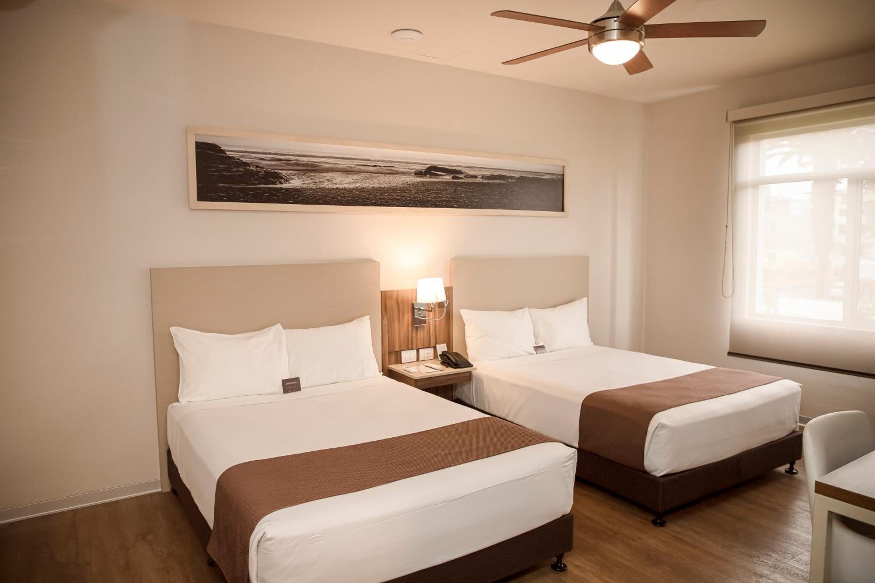 Twin Room photo 1