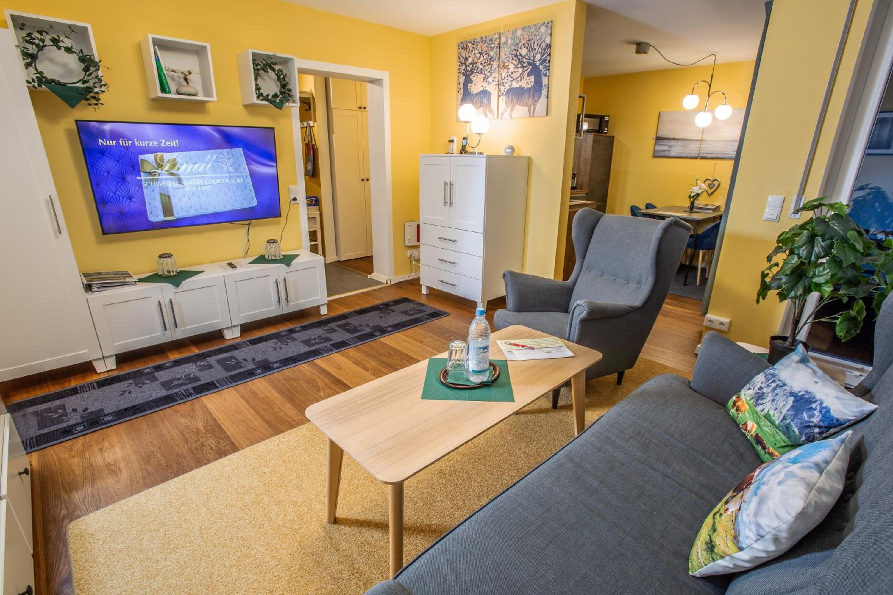 Apartment With Mountain View photo 3