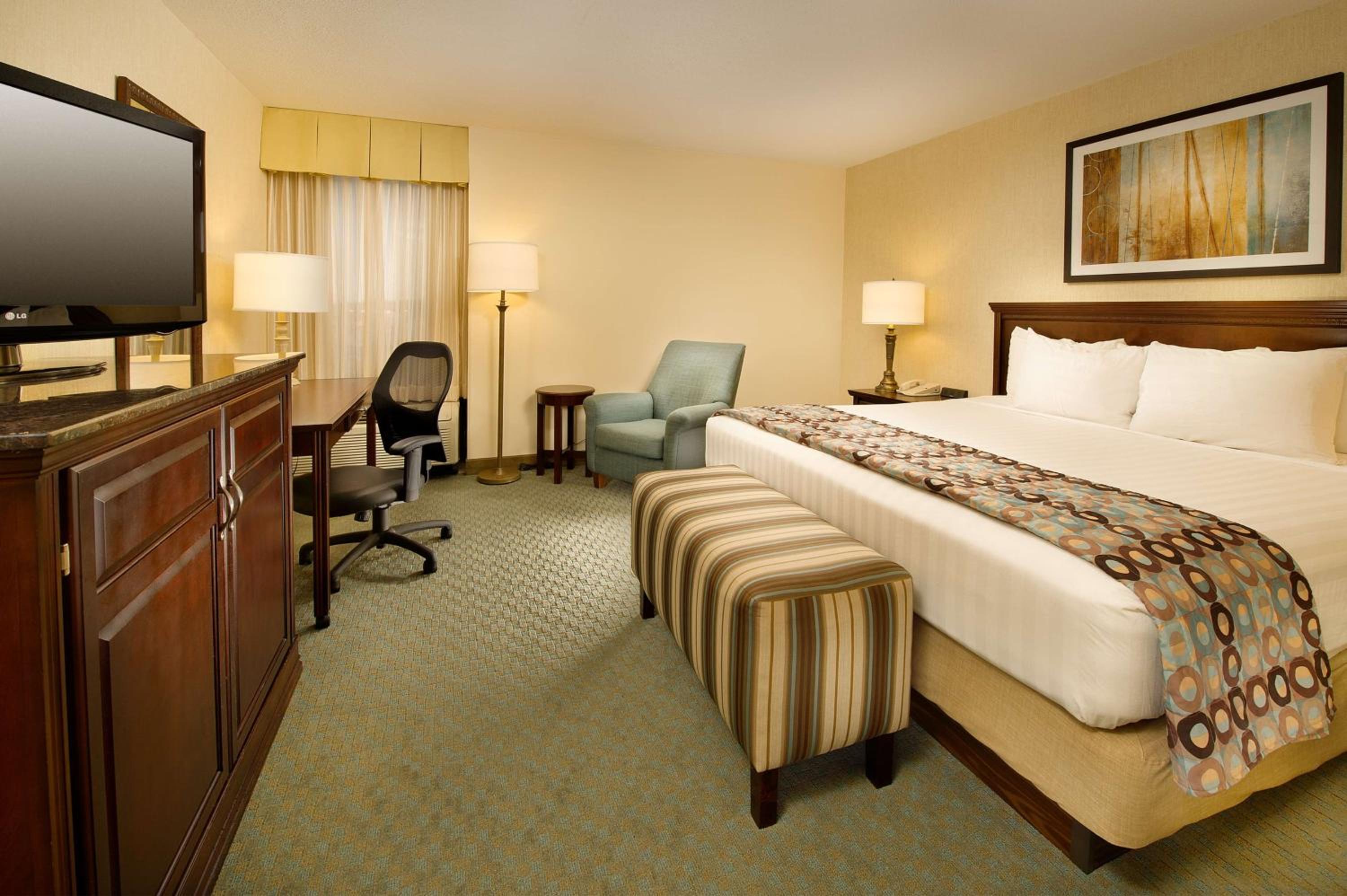 Spacious King Suite - Photo 2