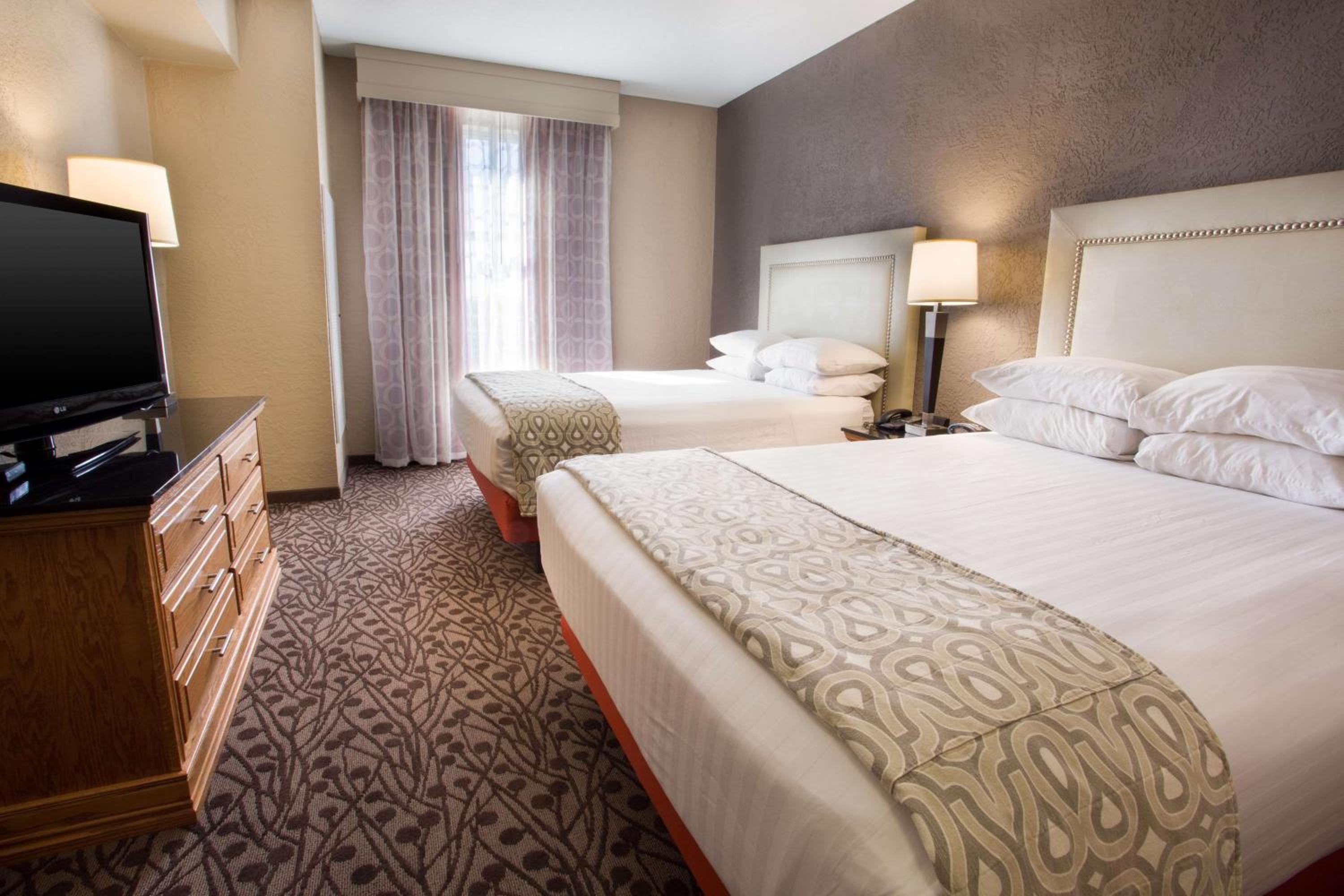 Queen Suite with Sofa Bed  - Accessible, Roll-in Shower photo 2