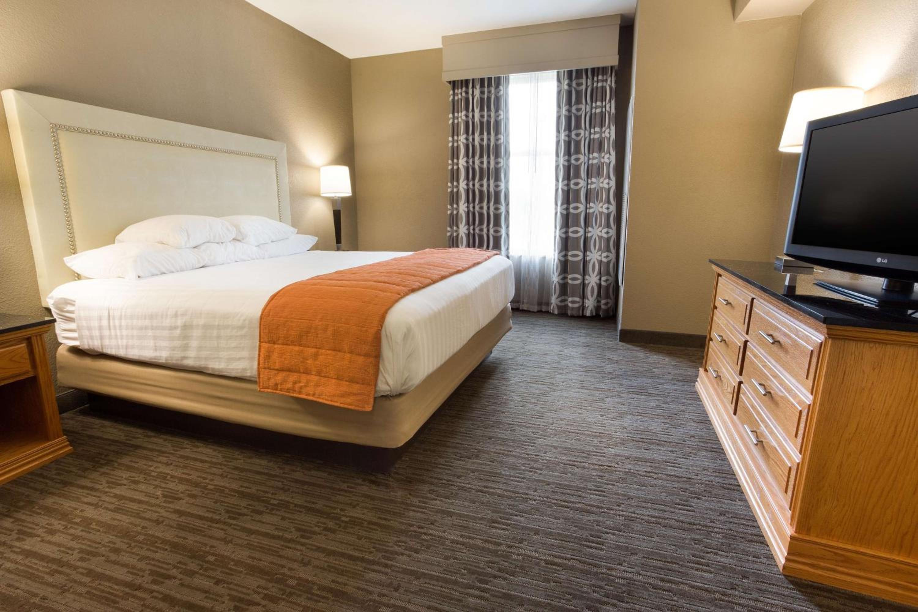 King Suite with Sofa Bed