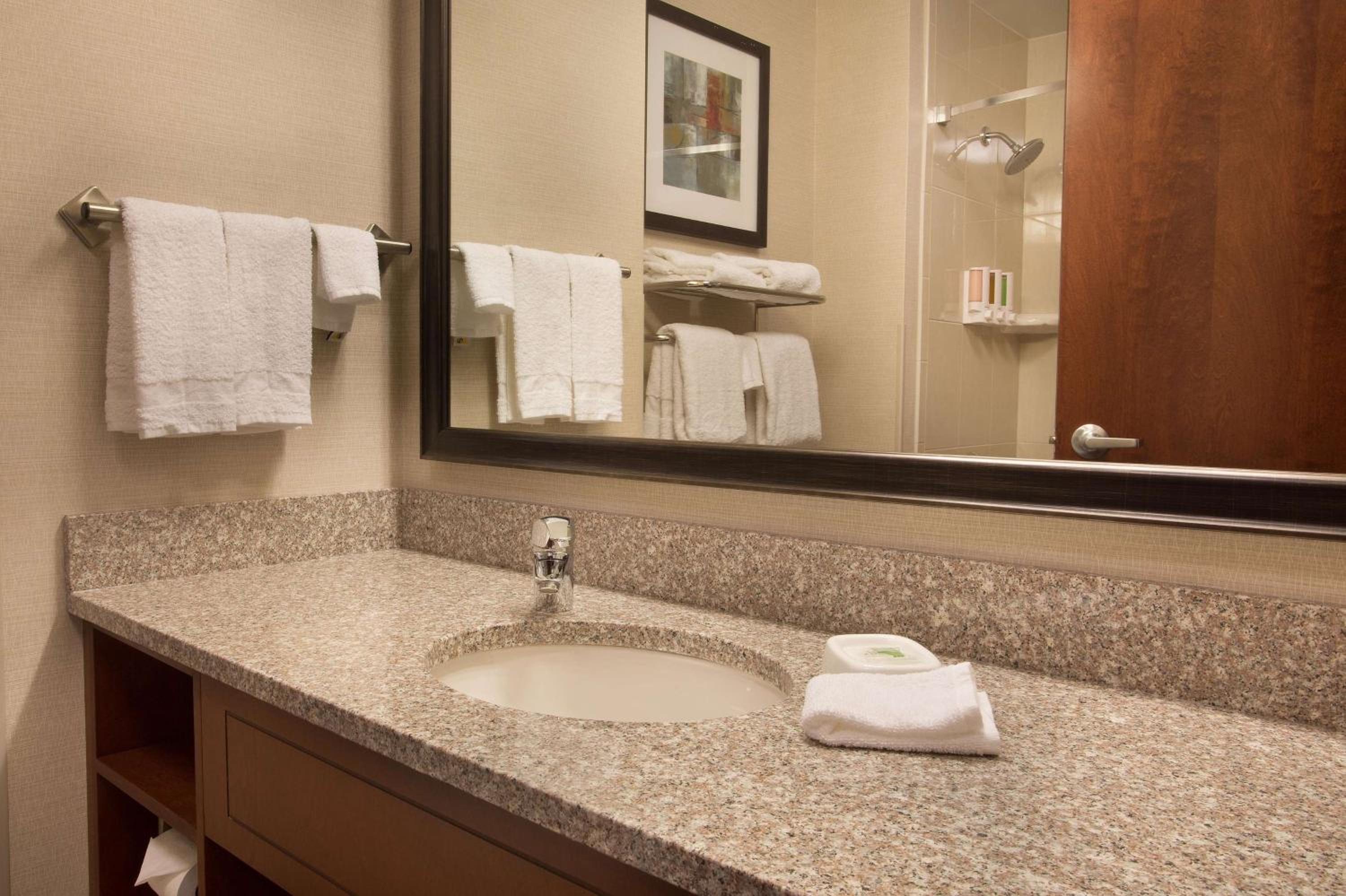 Queen Suite with Sofa Bed - Accessible, Tub photo 3