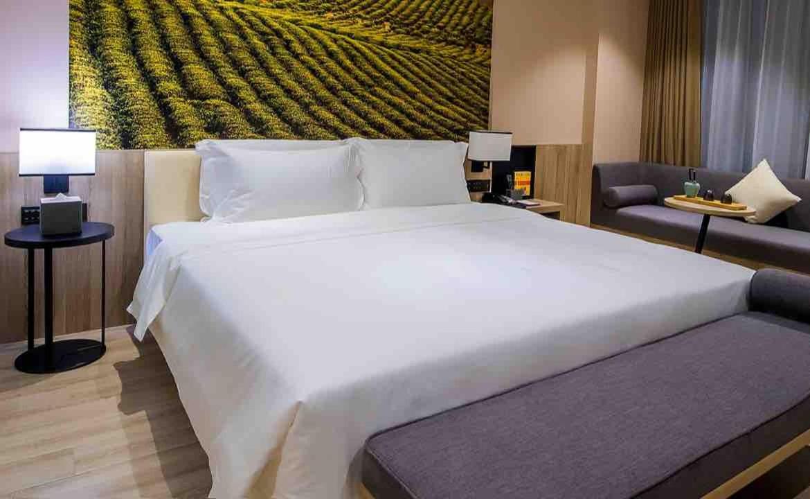 Superior Double Room photo 2