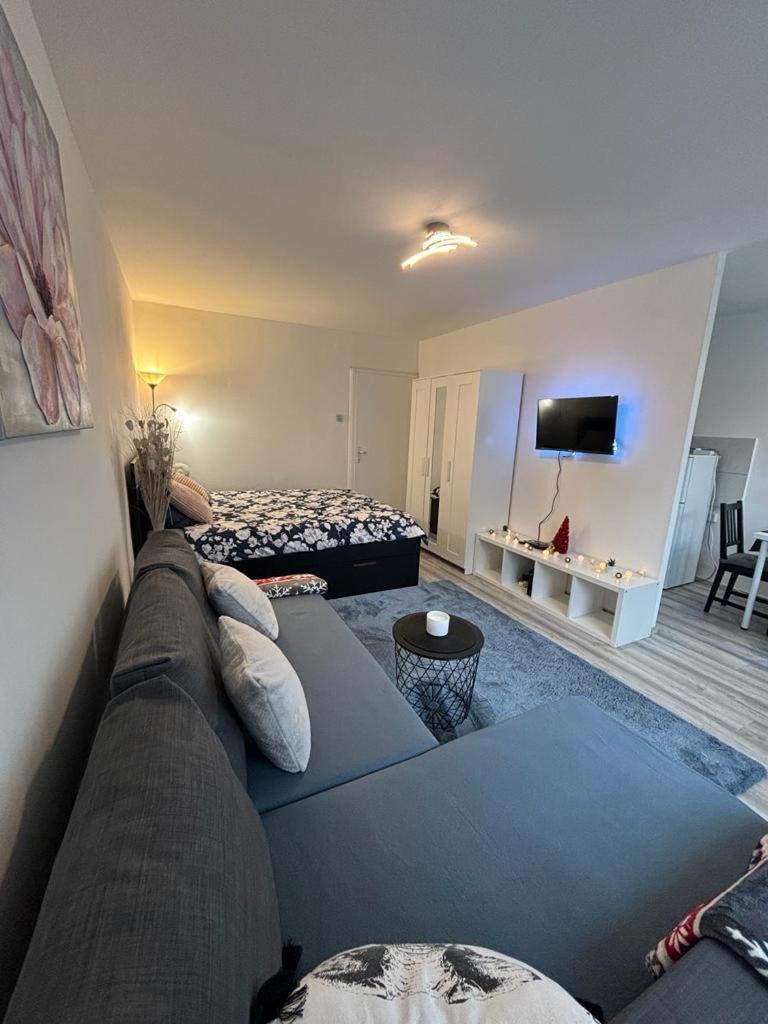 Studio Apartment photo 1