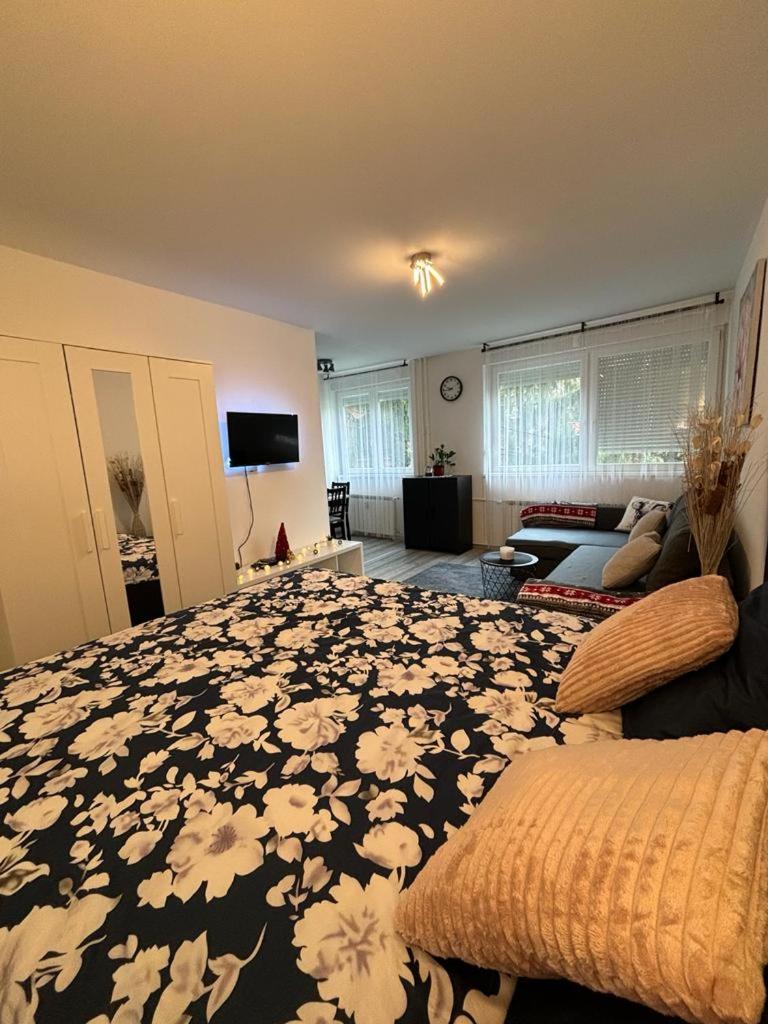 Studio Apartment photo 2