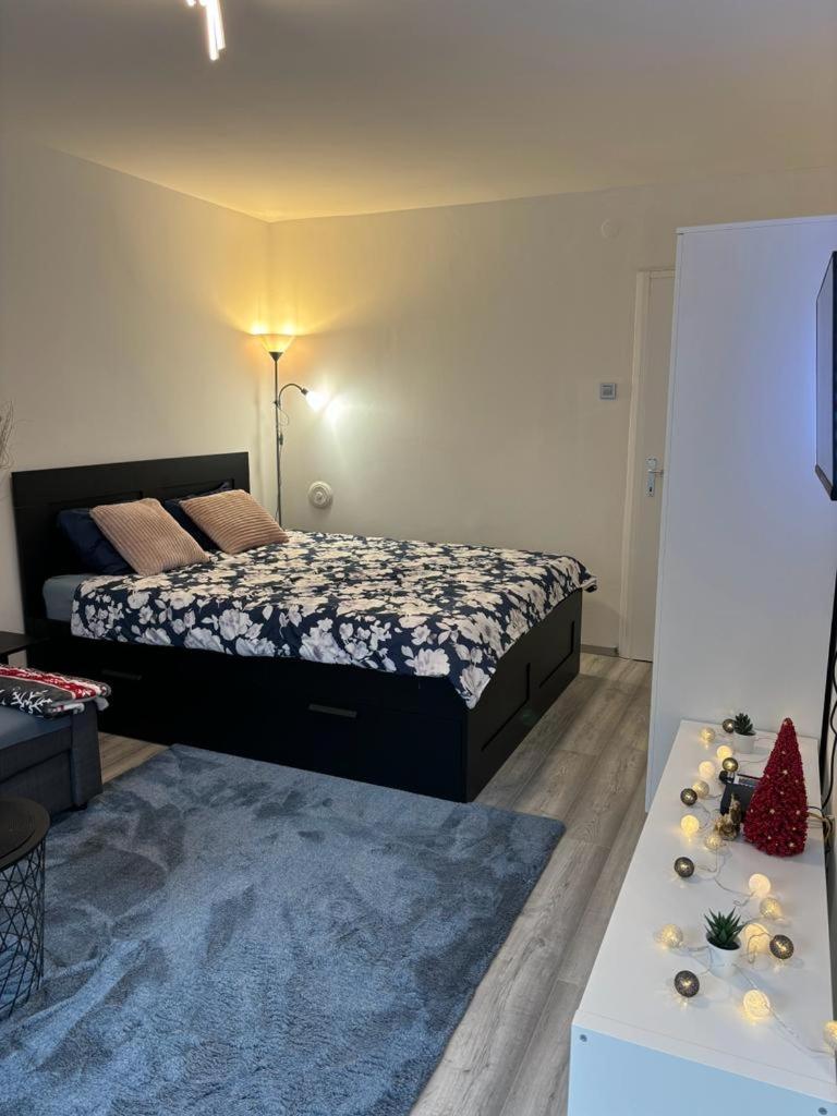 Studio Apartment photo 3