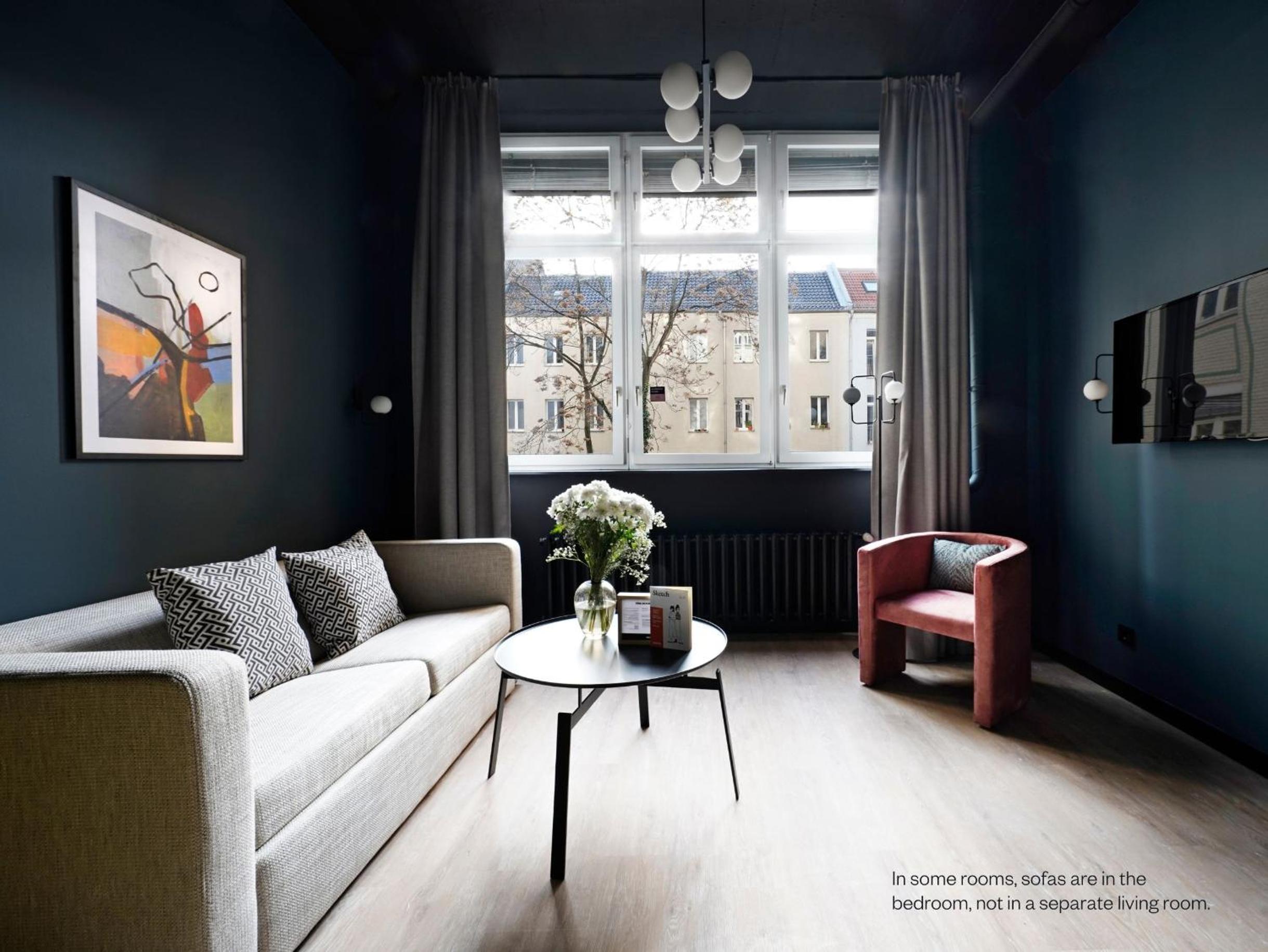 Large Studio with Kitchenette and Sofa Bed photo 3