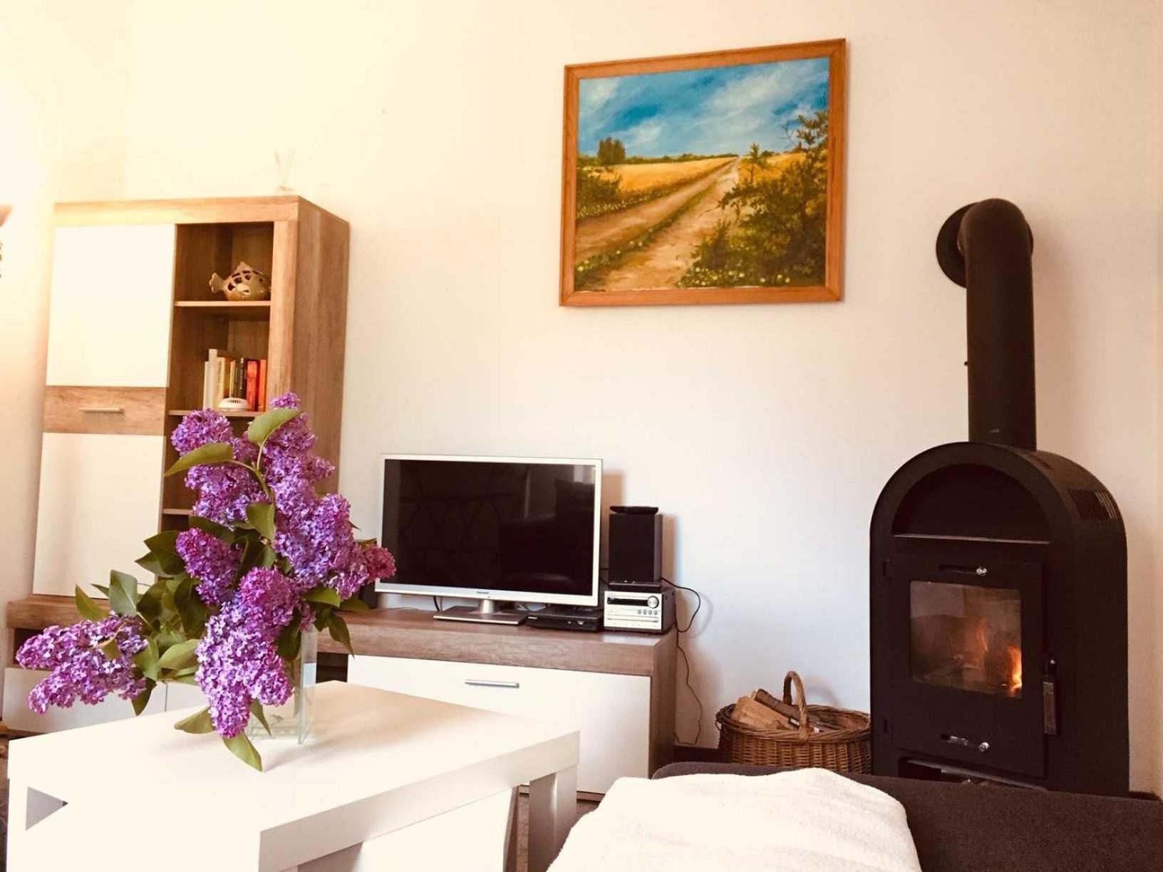 One-Bedroom House photo 2