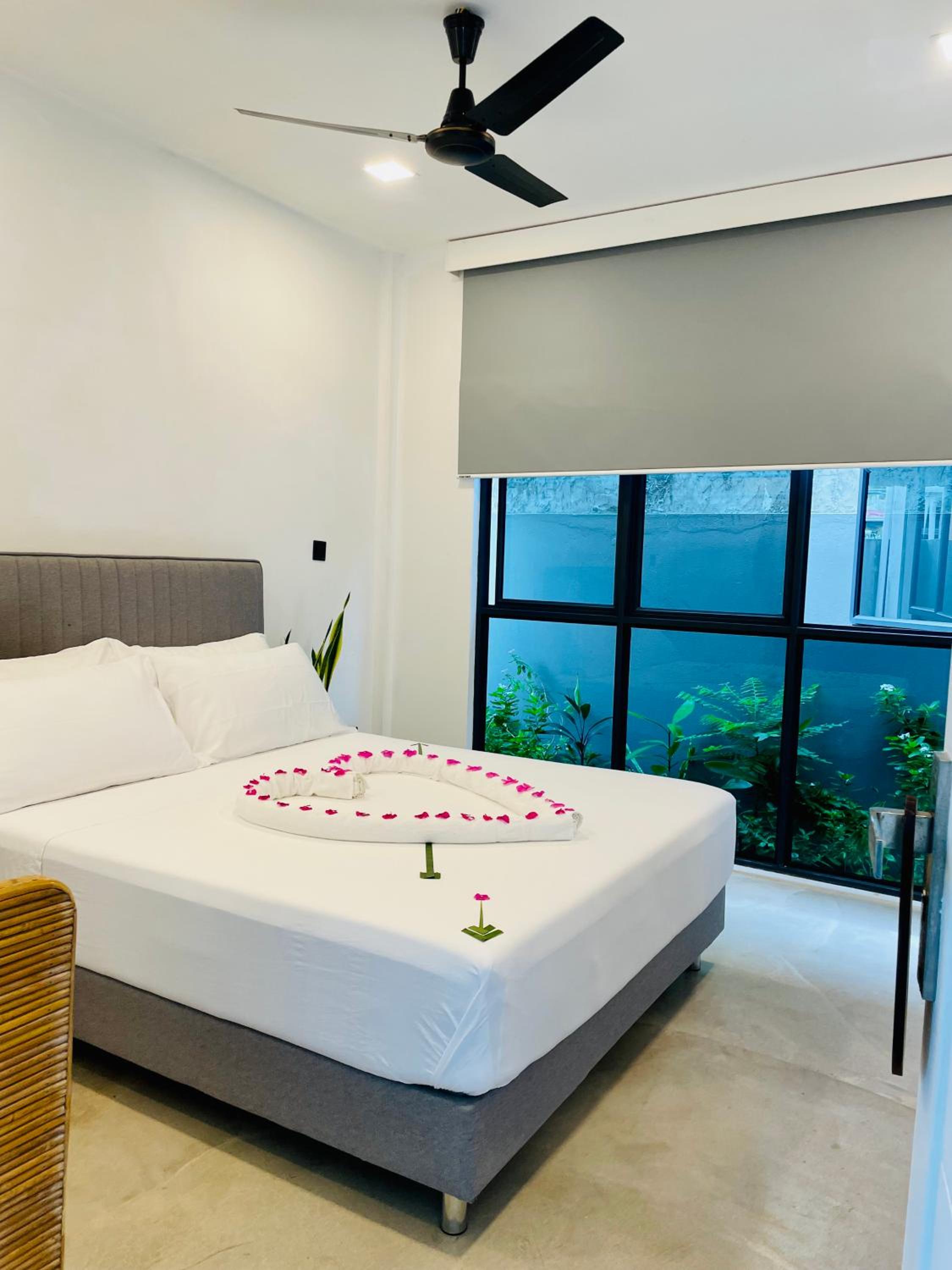 Deluxe Queen Room