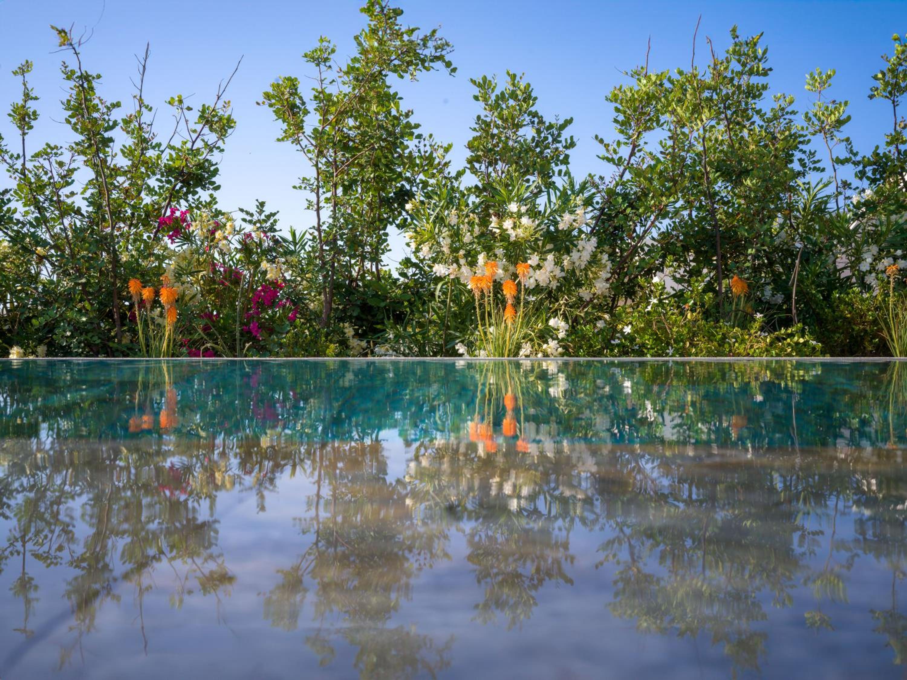 Euphoria Private Pool Suite - Photo 4