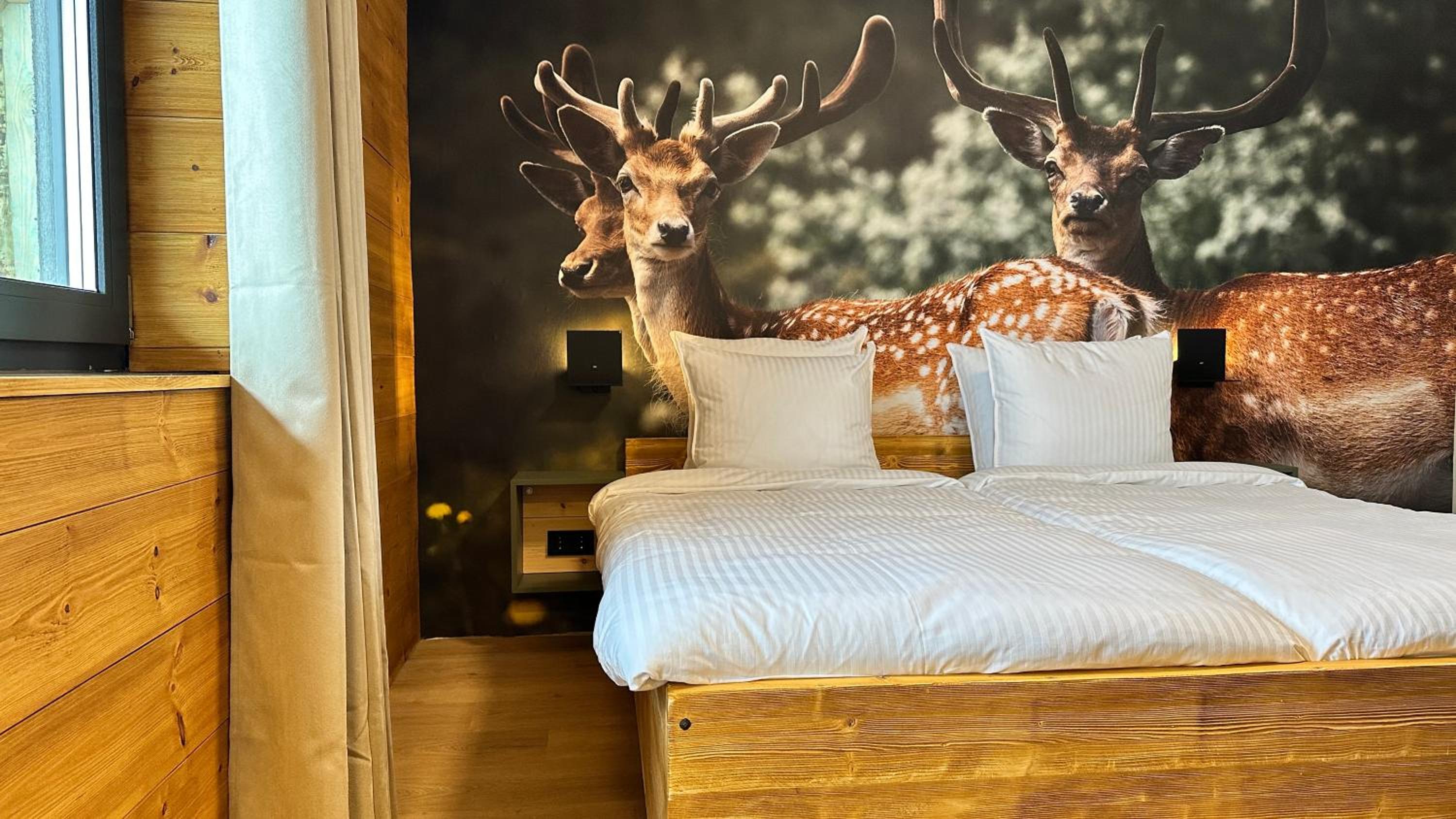 Double Room with Mountain View