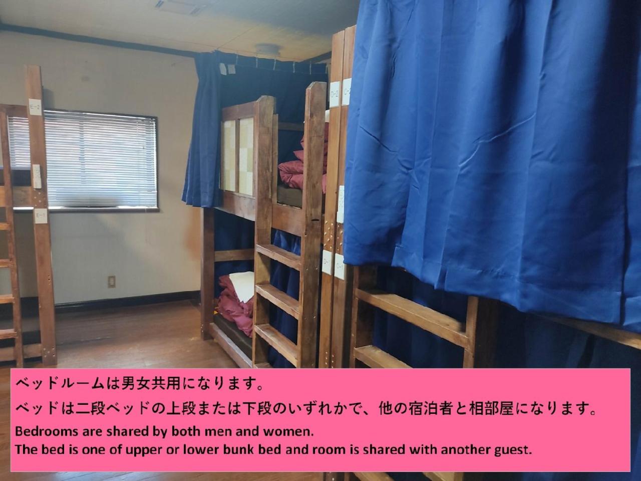 Bunk Bed in Mixed Dormitory Room photo 3