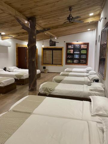 Single Bed In 10-Bed Dormitory Room photo 2