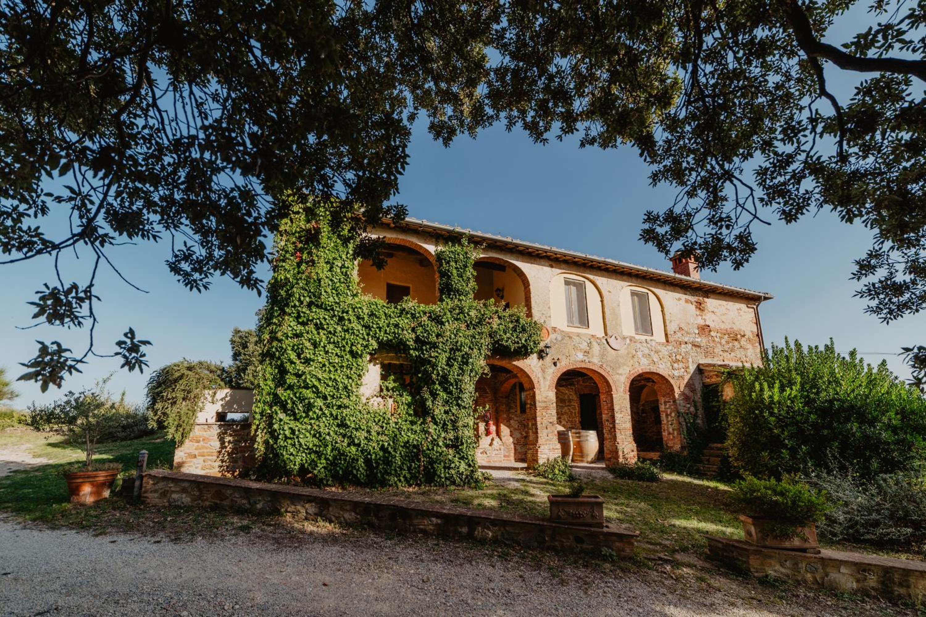 Standard Villa photo 2