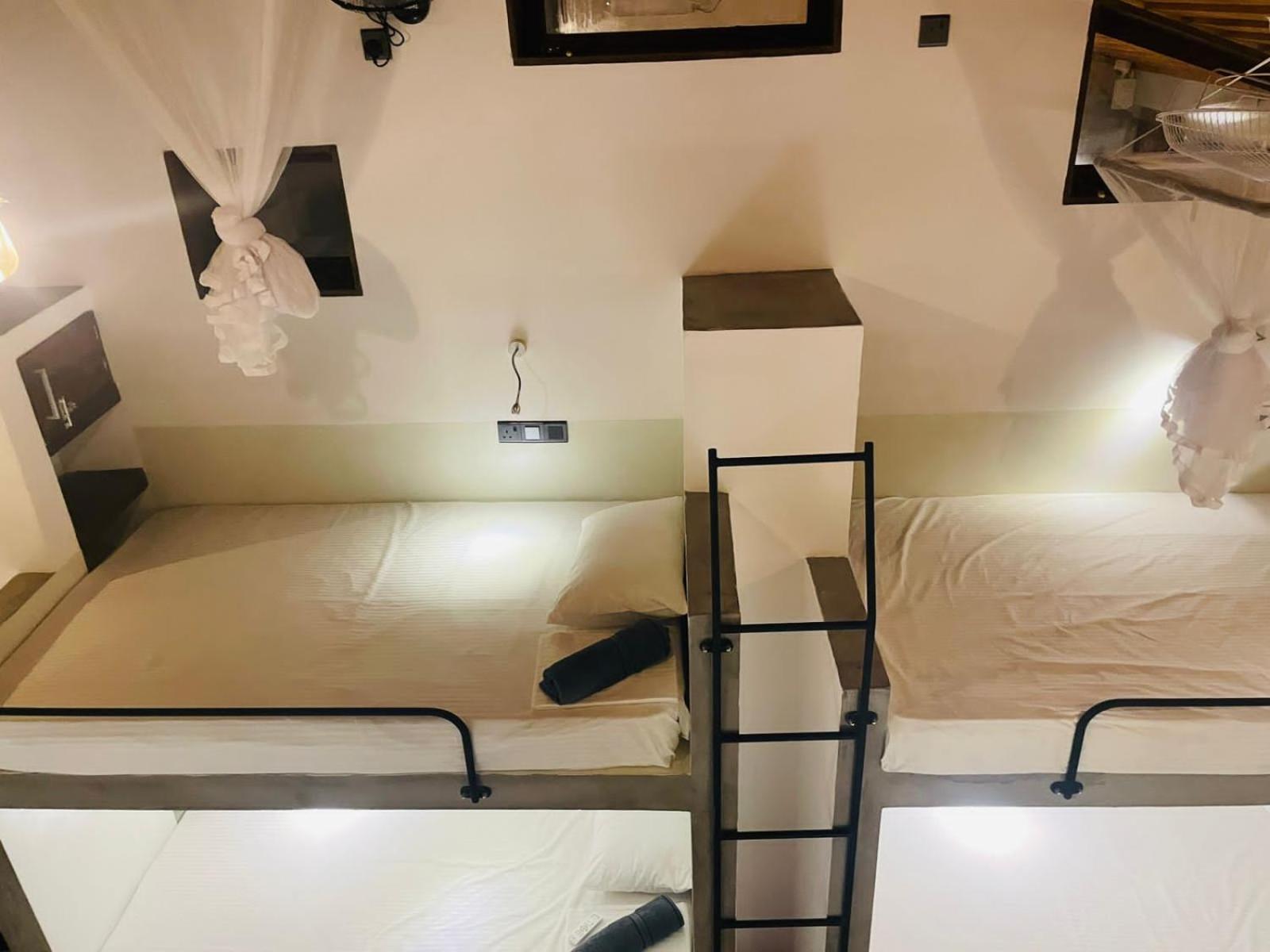 Single Bed in Female Dormitory Room photo 1