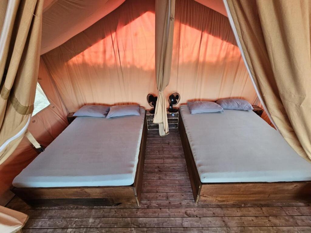 TENT 1  photo 2