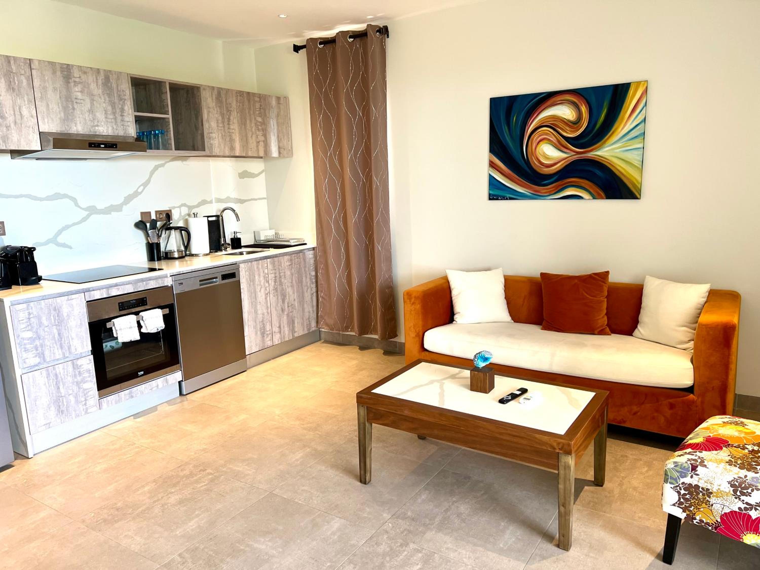 Deluxe Lower Floor Apartment photo 3