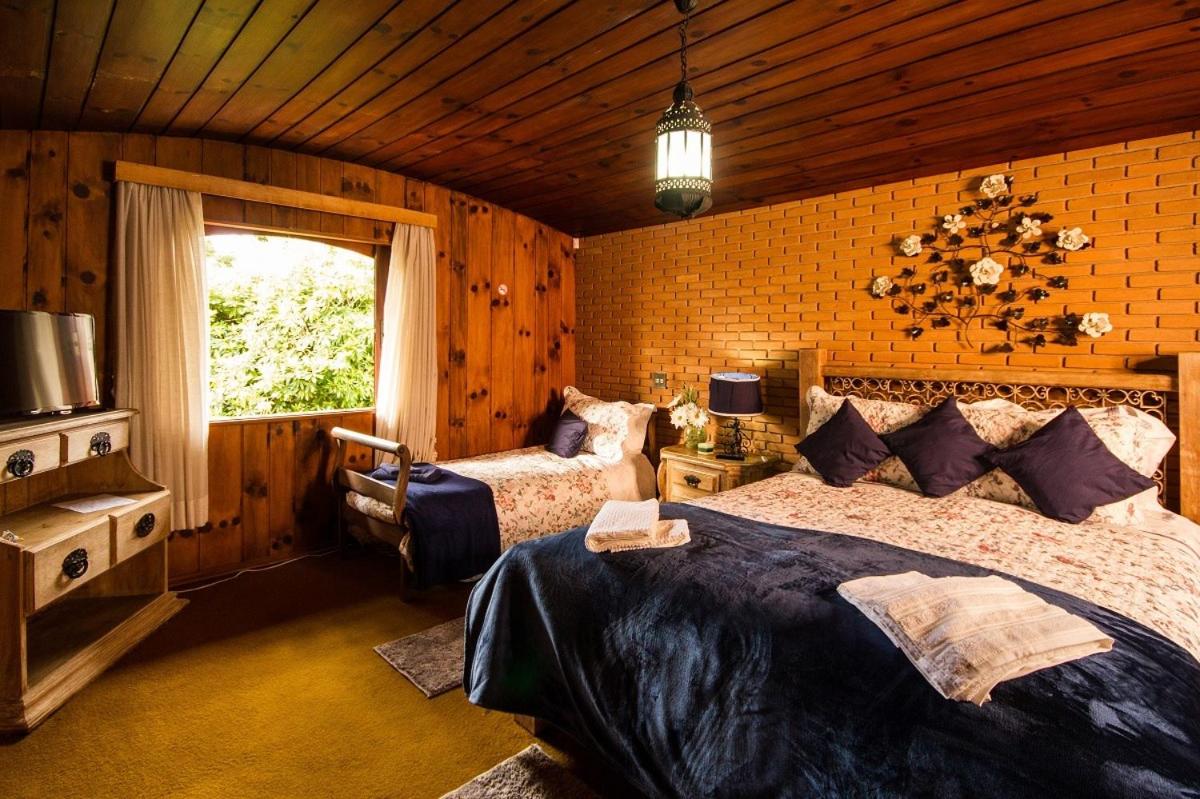 Triple Room photo 2
