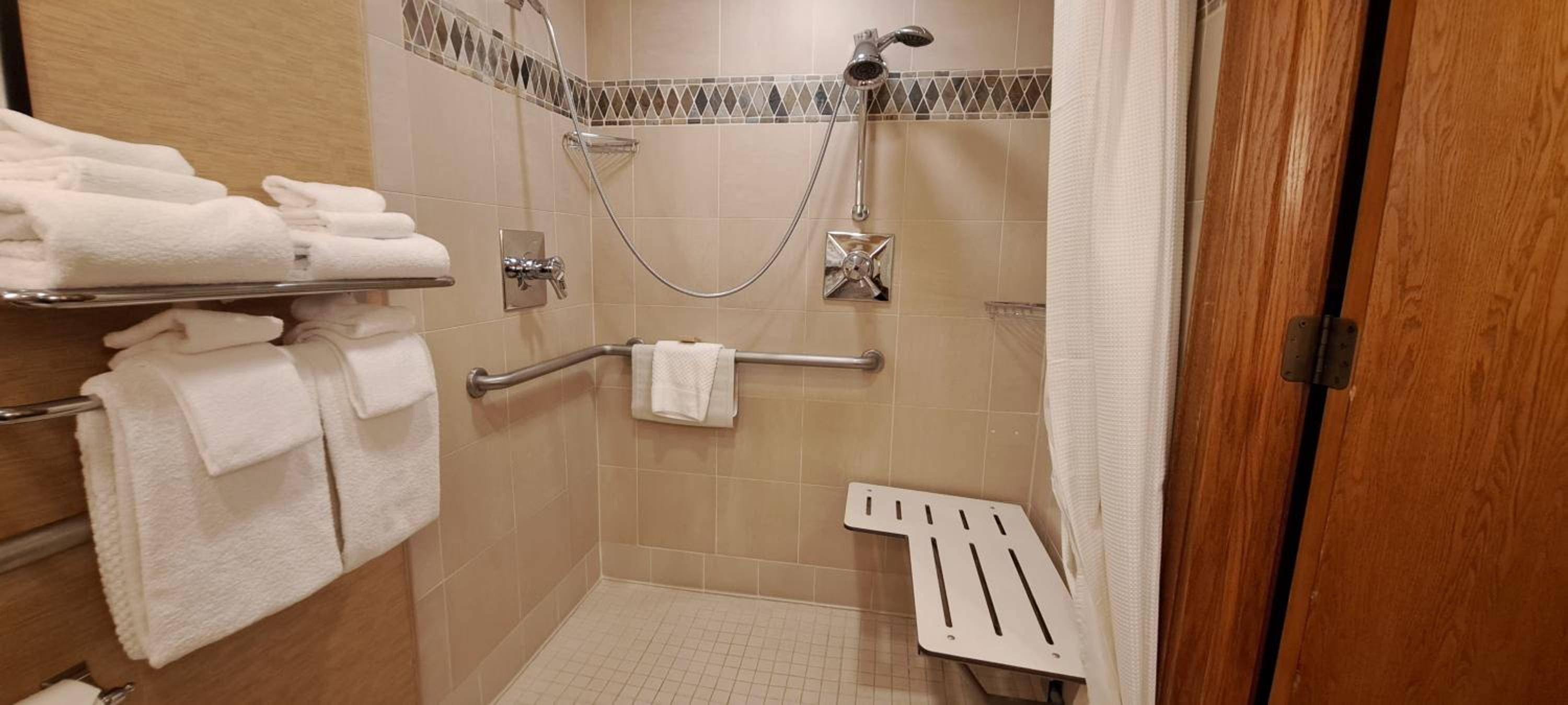 City View 1 King Mobility Access w/ RI Shower - Photo 4