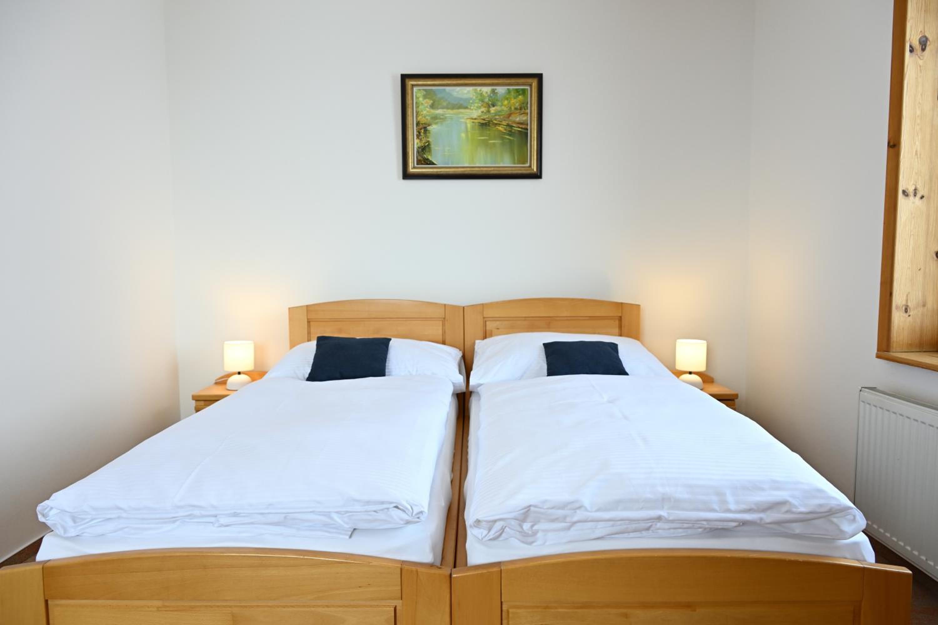 Large Double Room photo 1