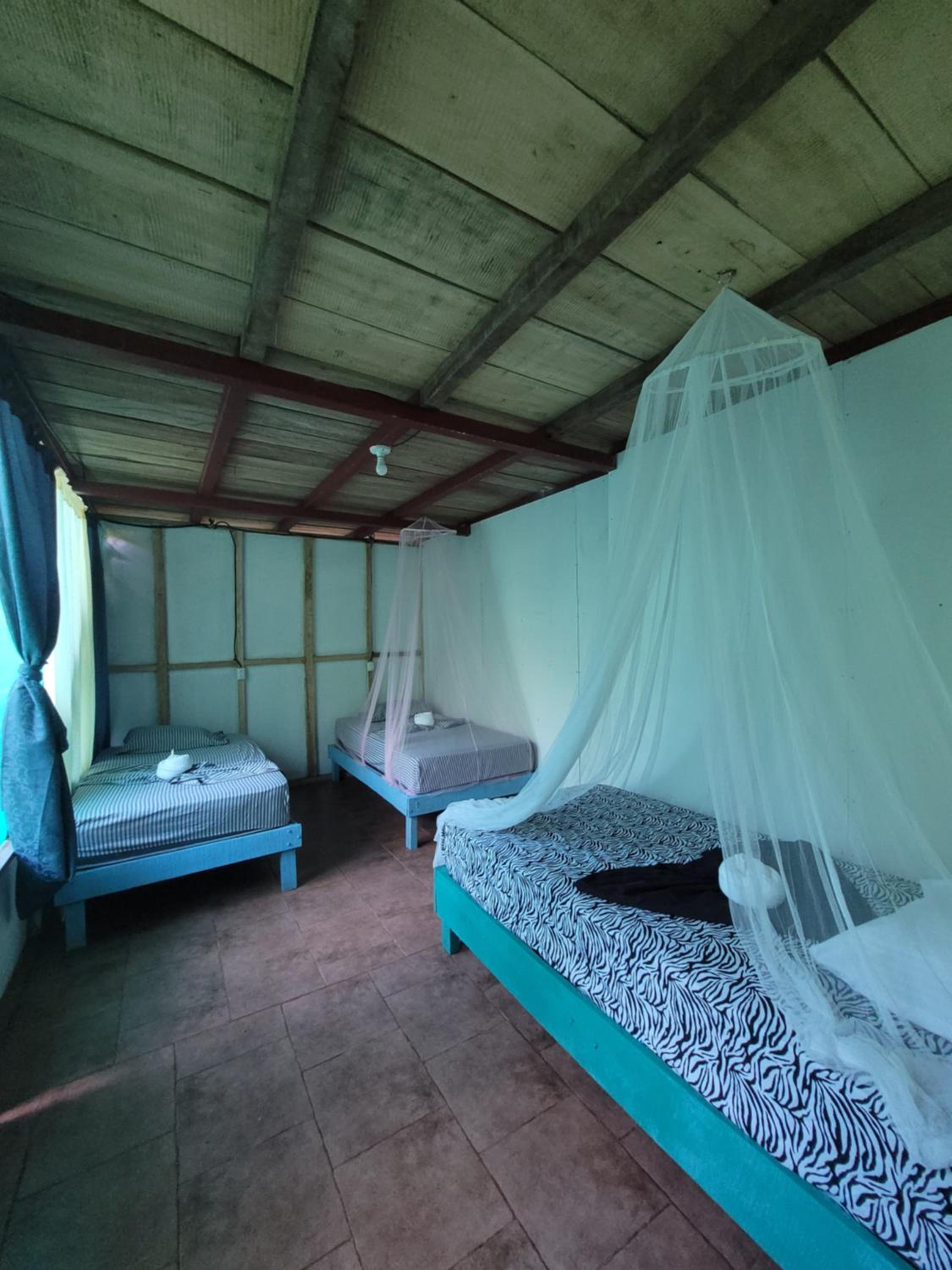 Mixed Dormitory Room photo 2