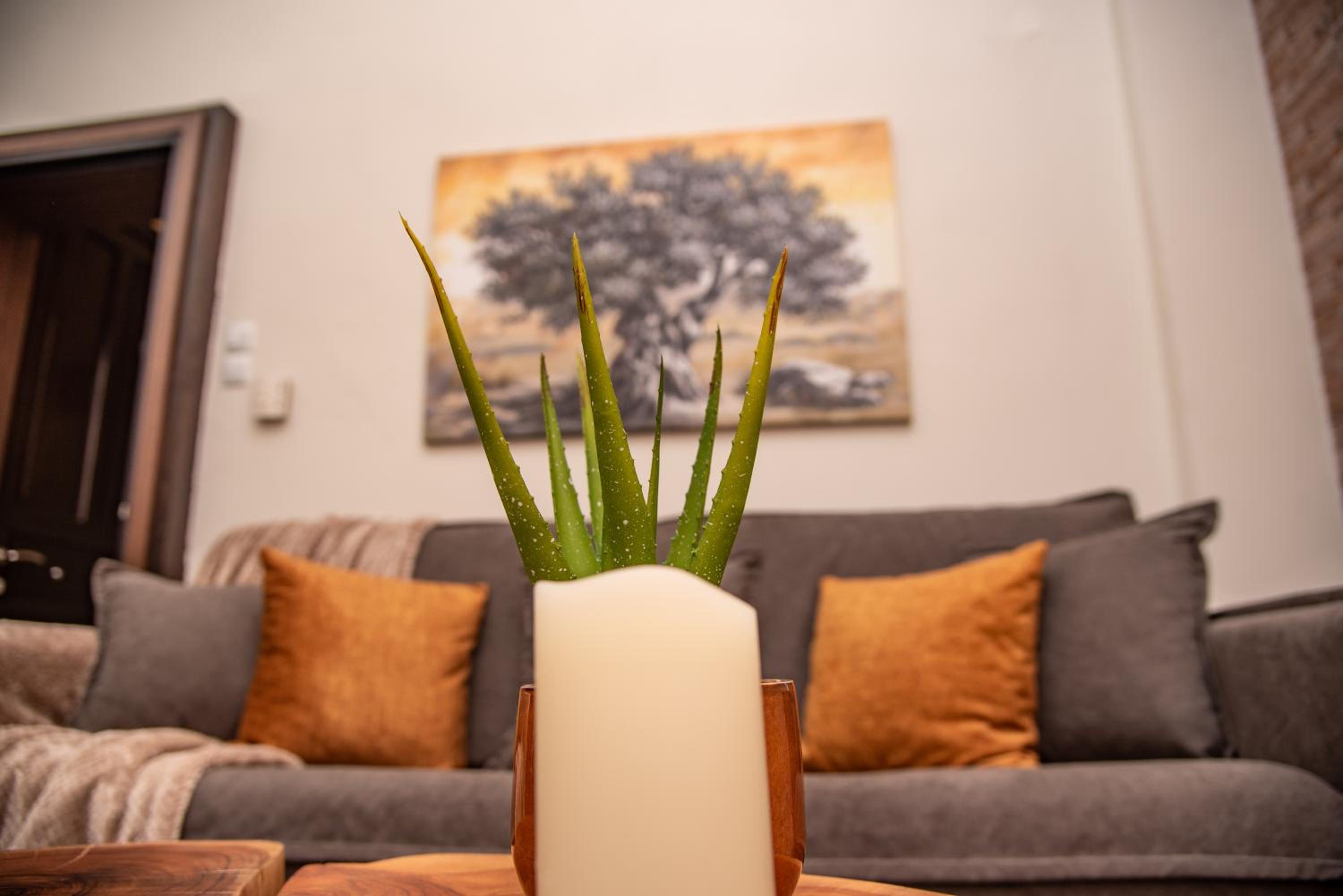 Apartment - Ground Floor photo 1