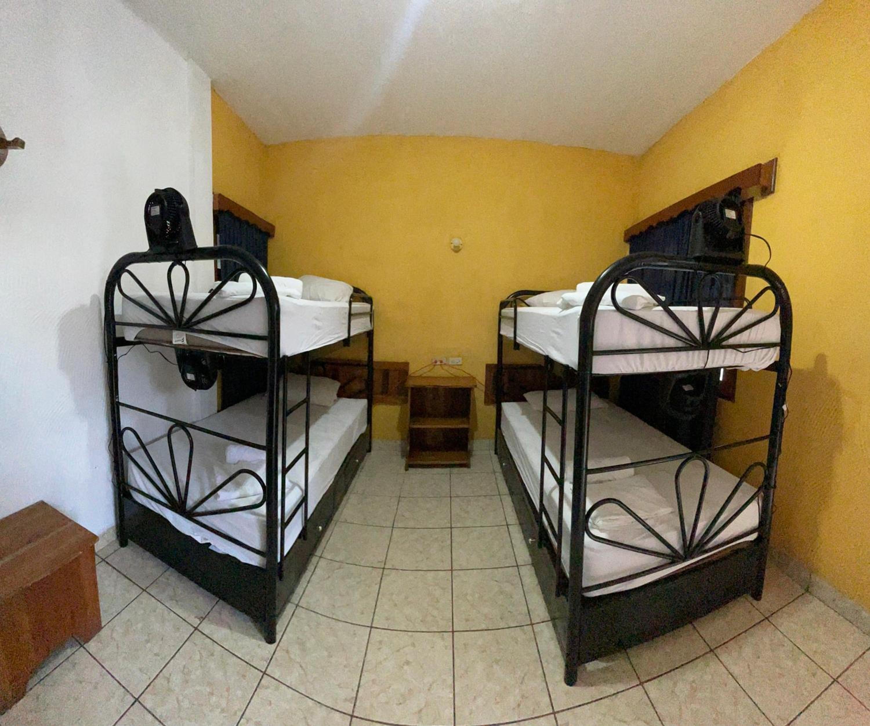 Bunk Bed in Mixed Dormitory Room photo 2