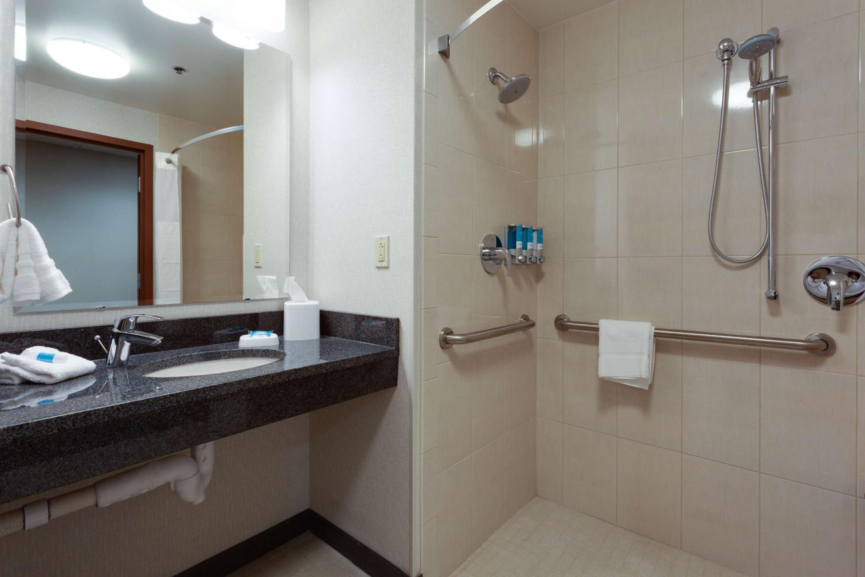 Deluxe King Room - Accessible, Roll-in Shower