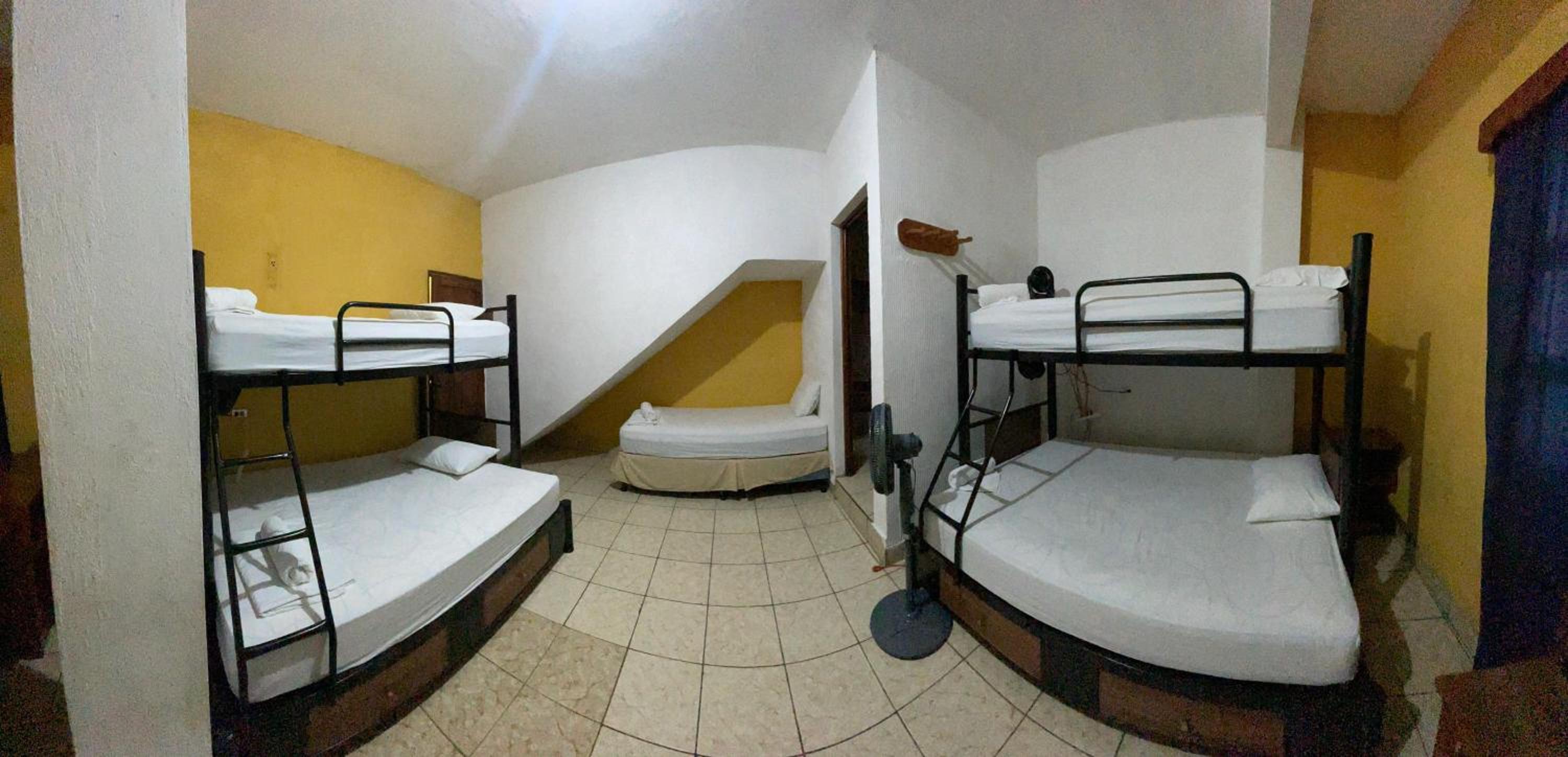Bunk Bed in Mixed Dormitory Room photo 1